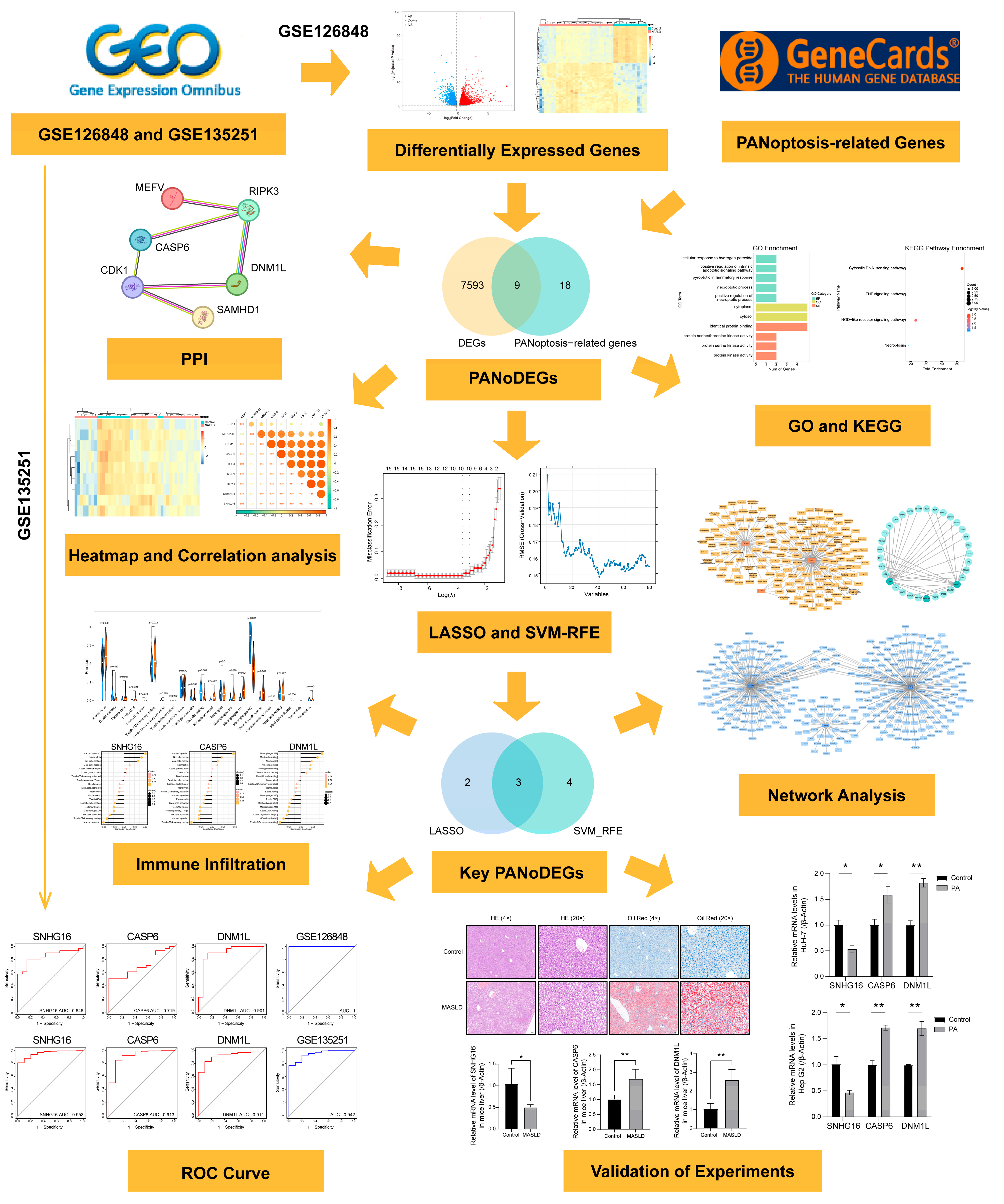 Biology 14 00518 g001