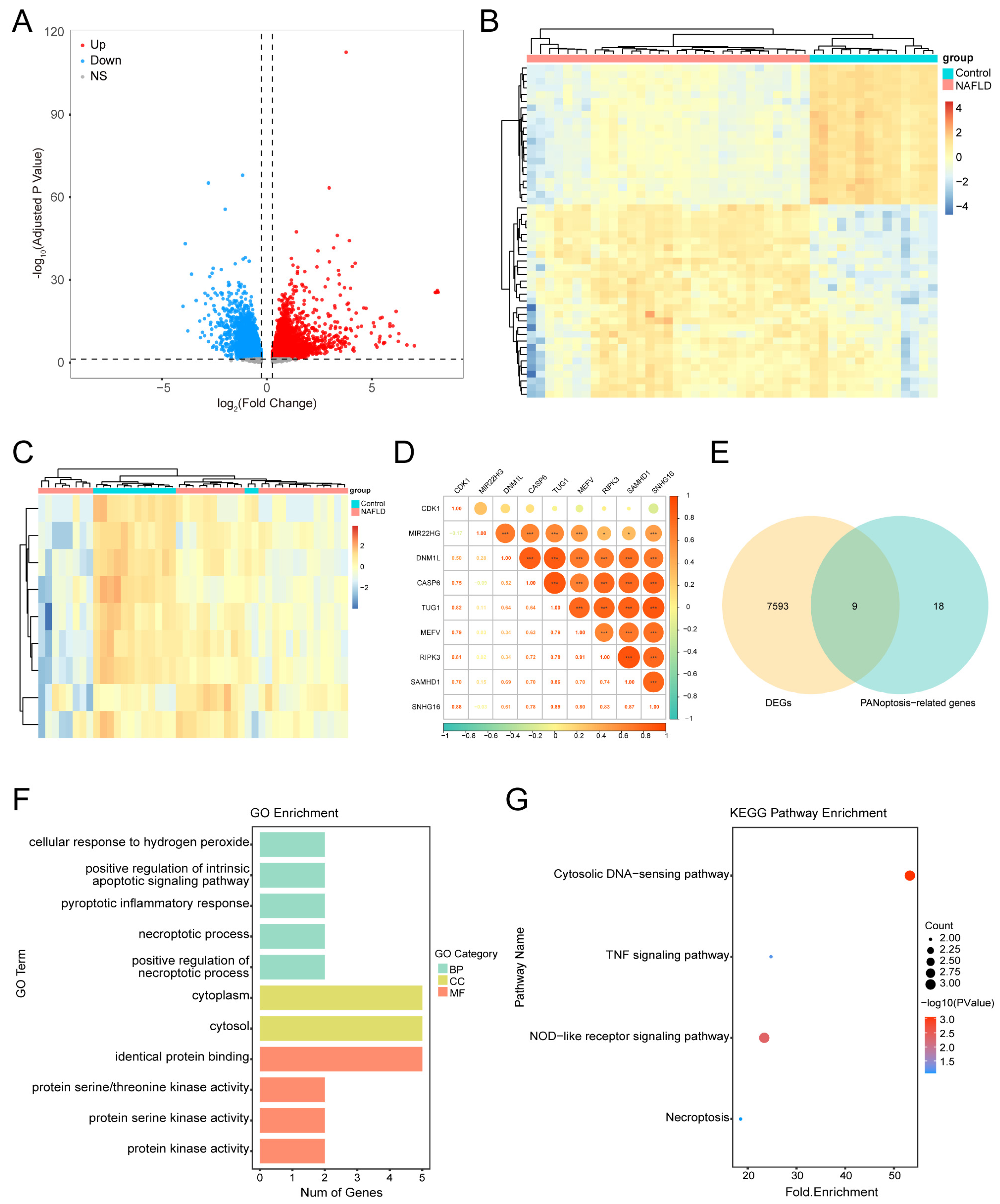 Biology 14 00518 g002
