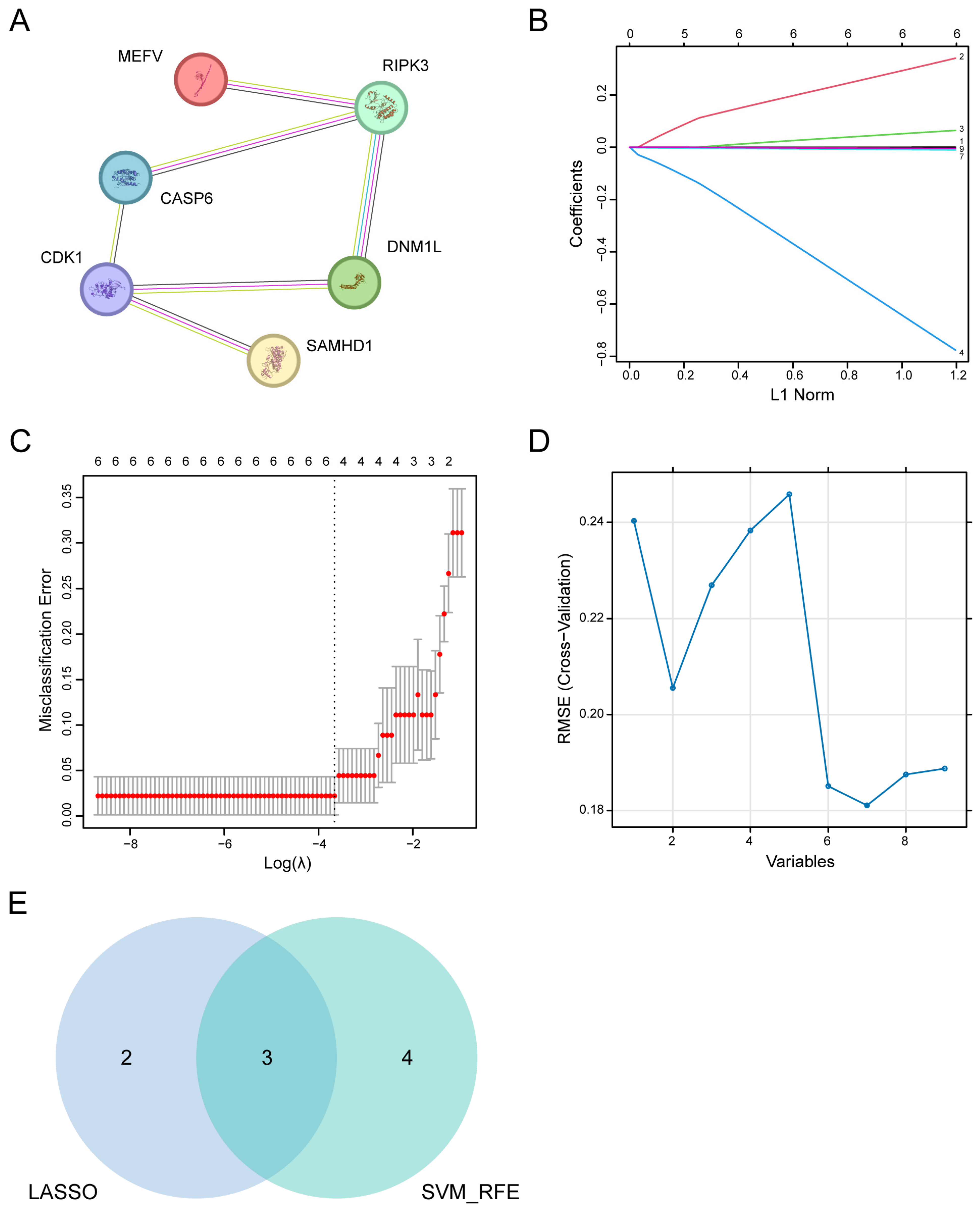 Biology 14 00518 g003