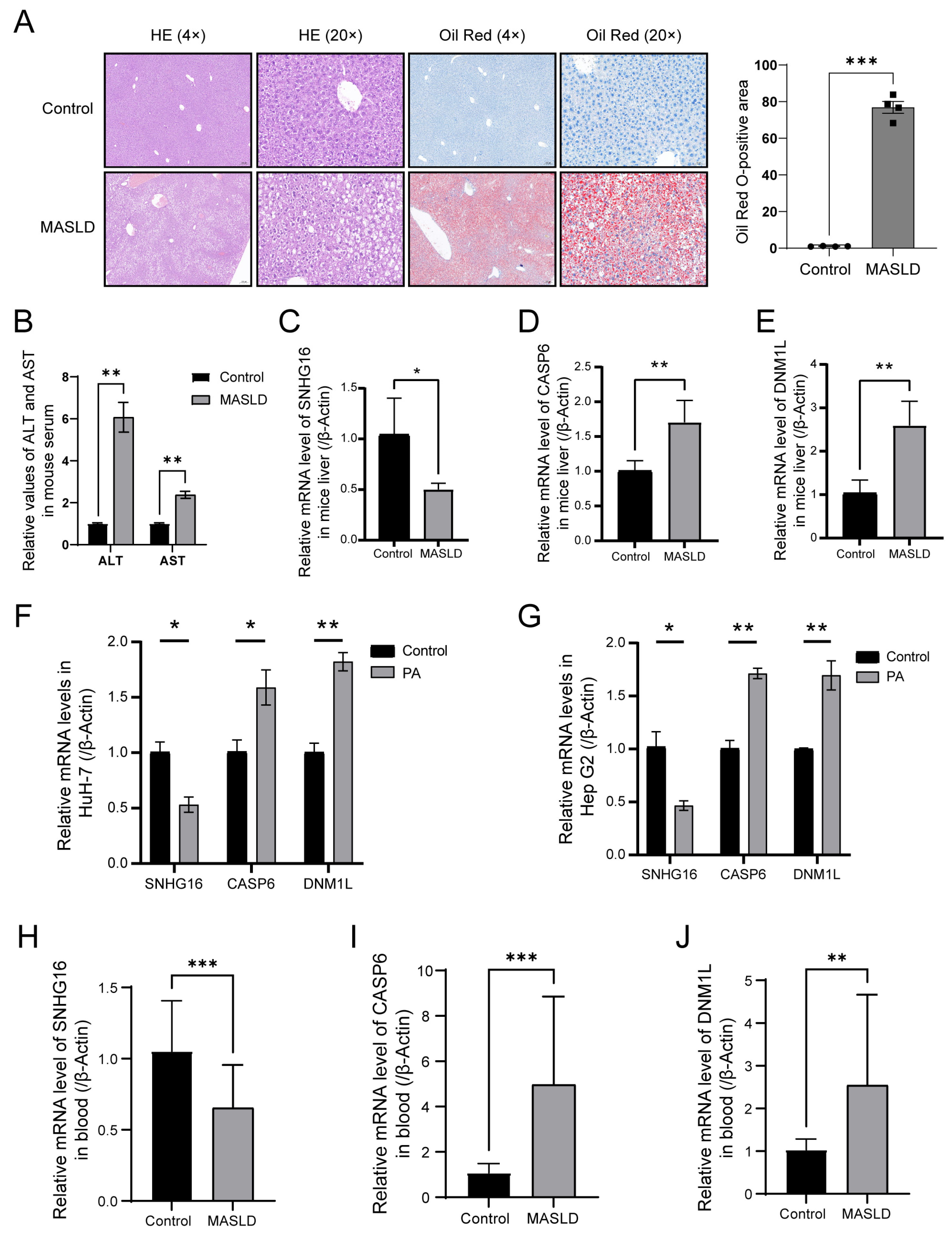 Biology 14 00518 g006