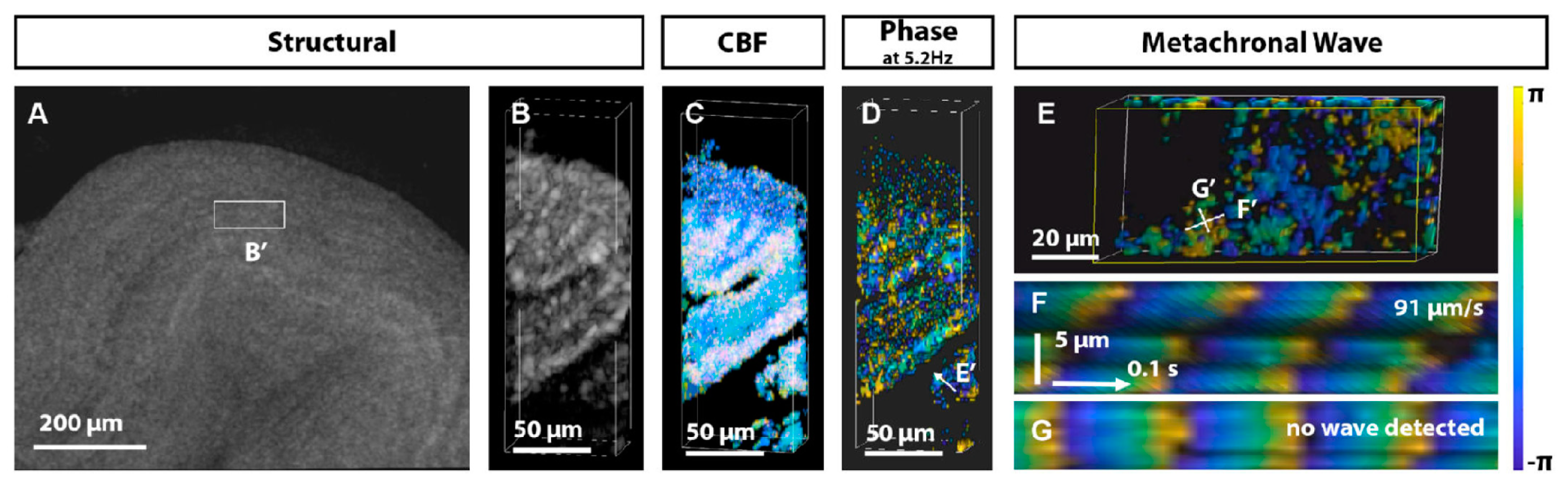 Biology 14 00521 g005