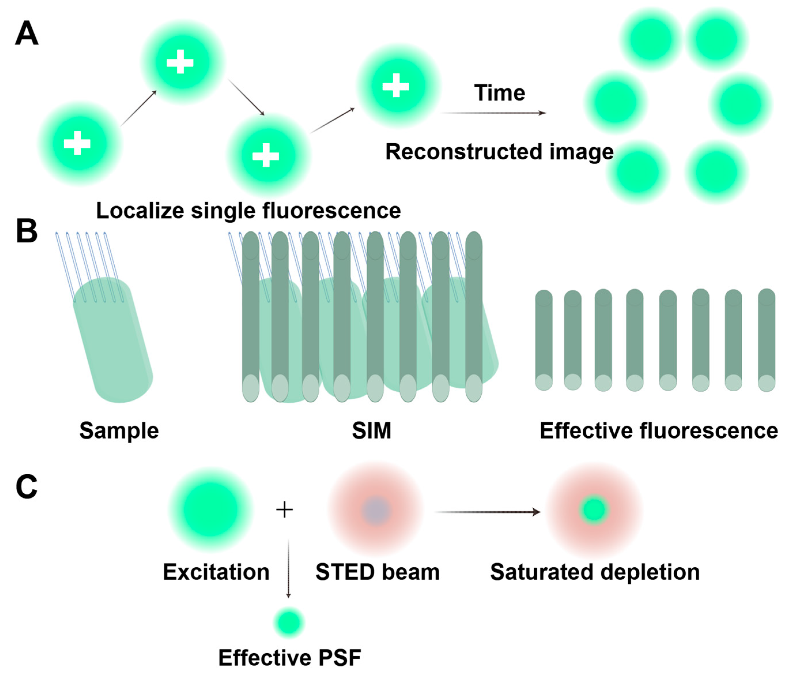 Biology 14 00521 g007