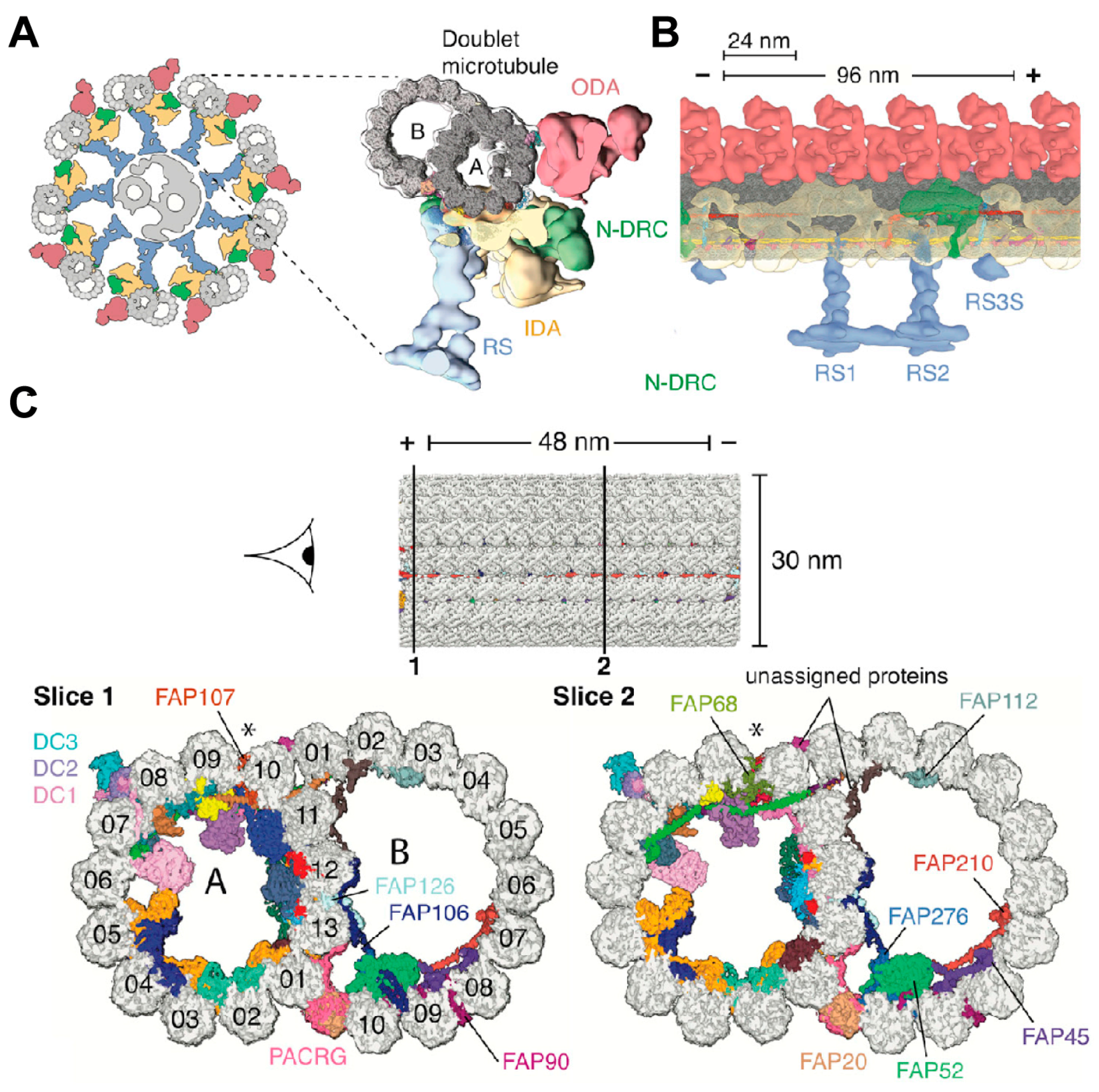 Biology 14 00521 g010