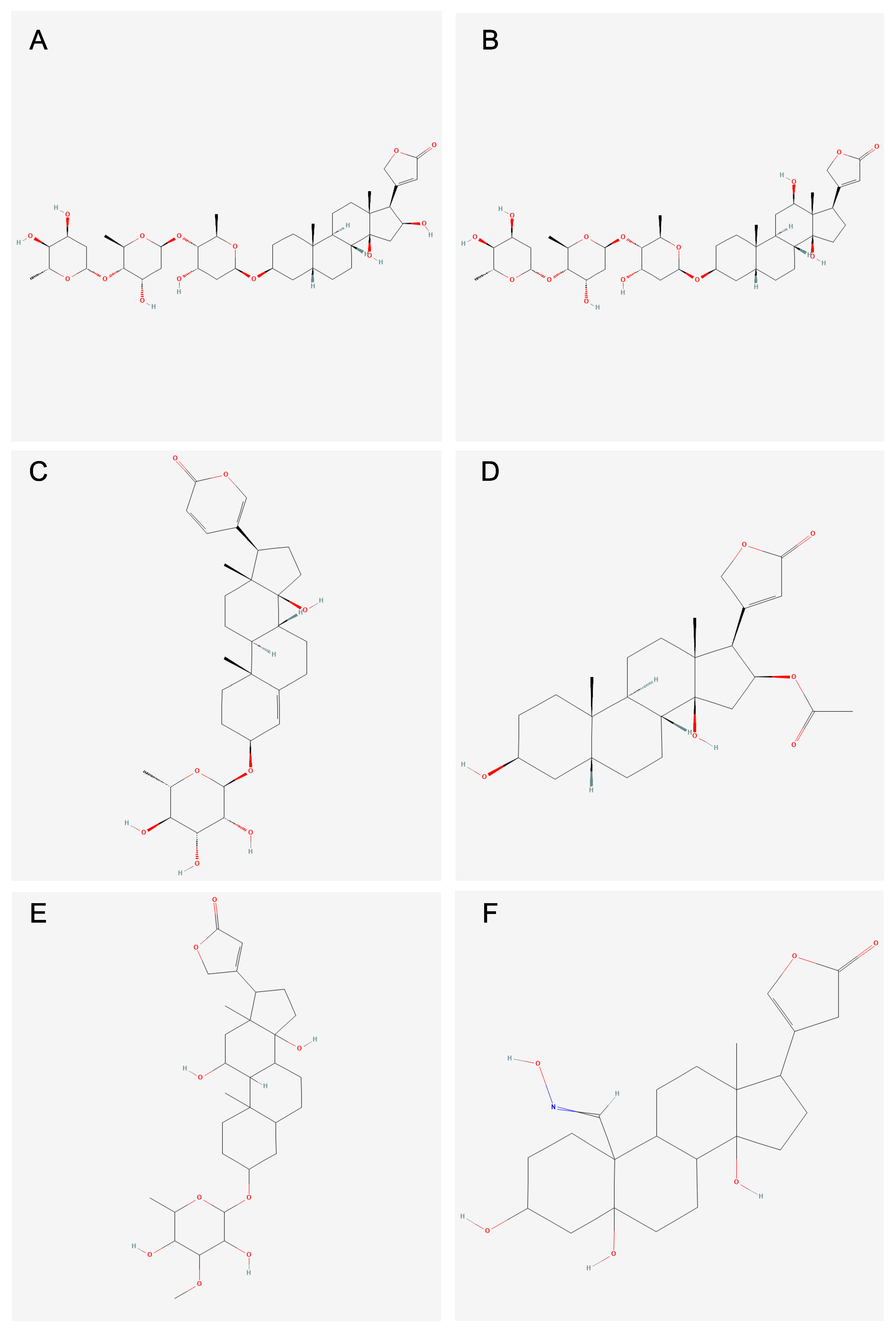 Biology 14 00522 g002
