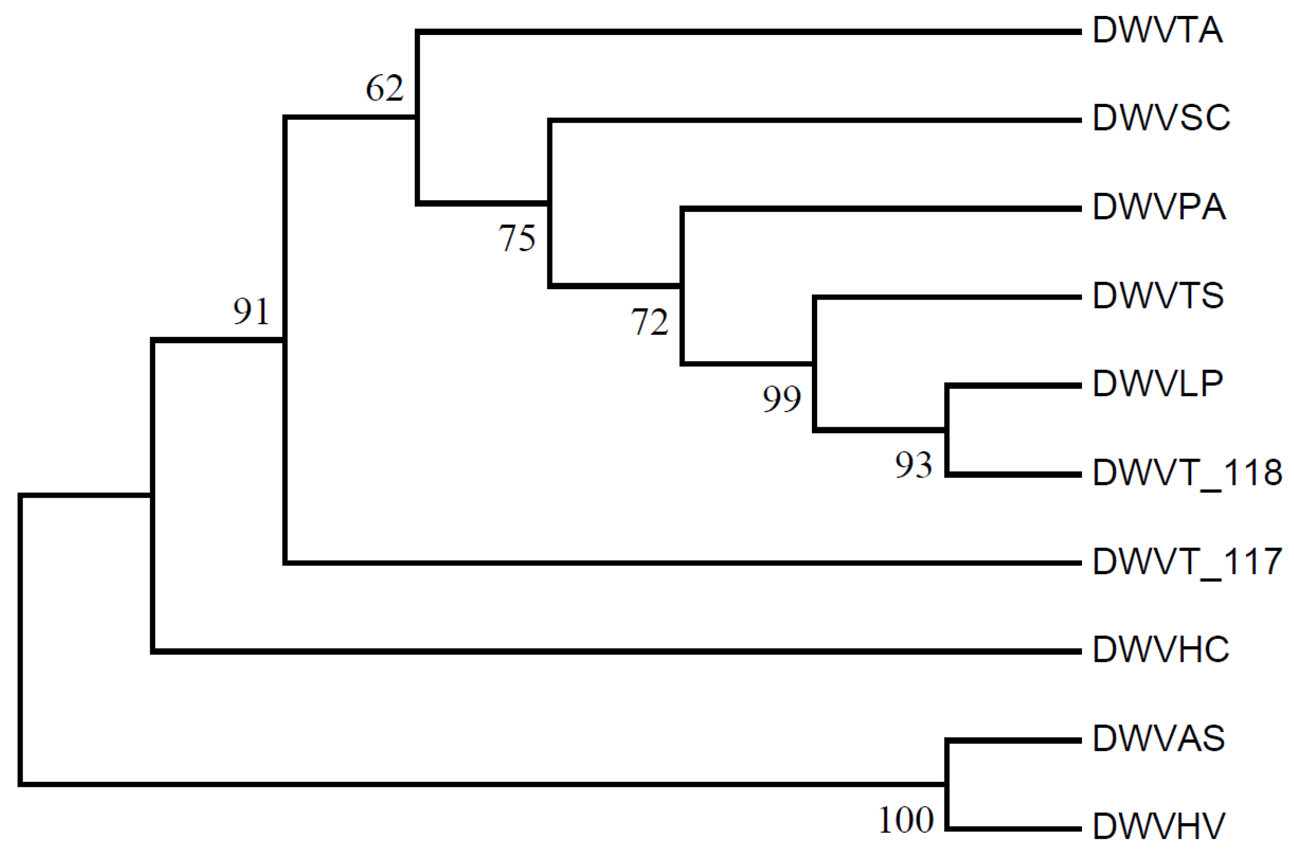 Biology 14 00524 g011