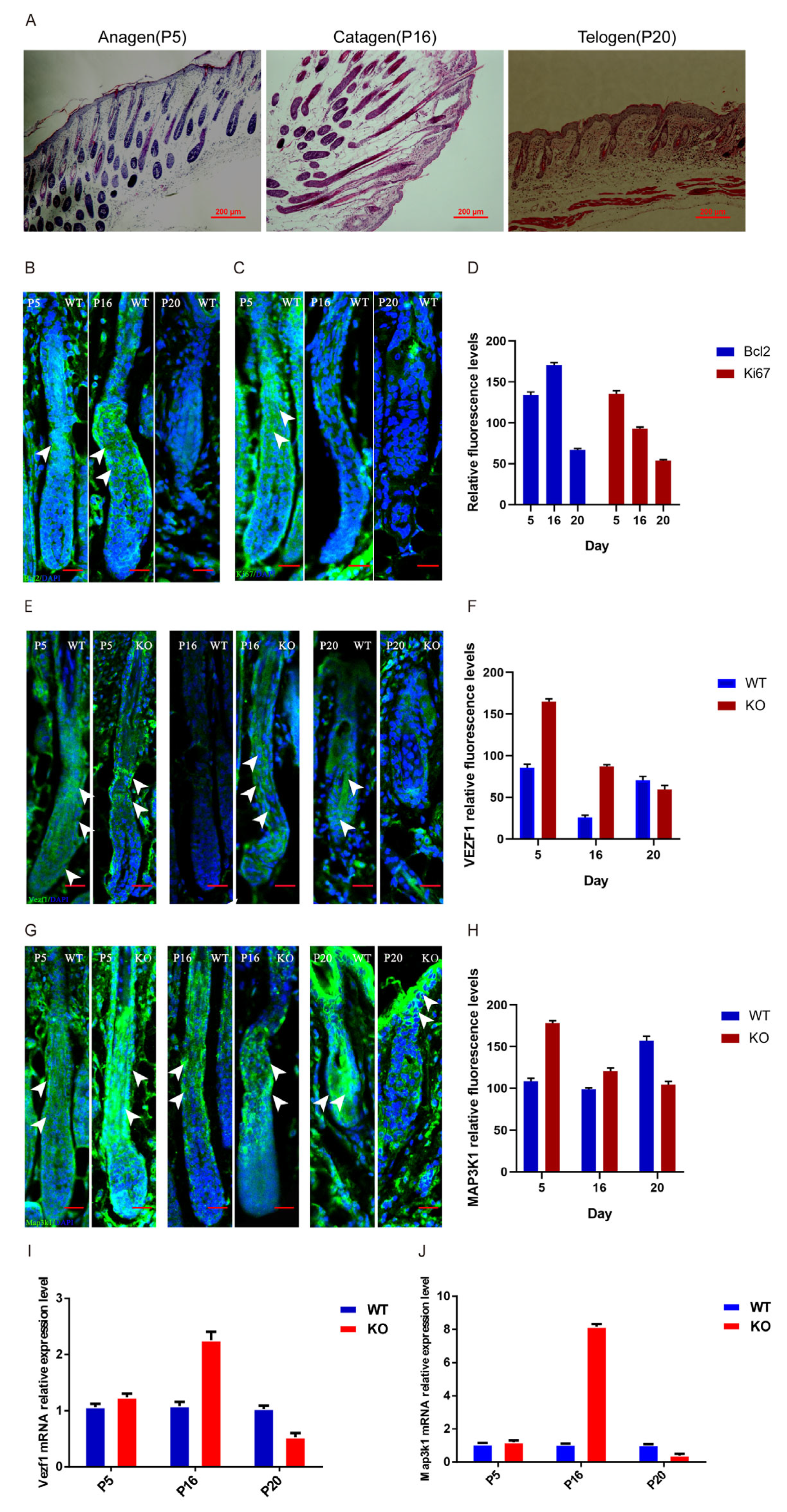 Biology 14 00526 g007