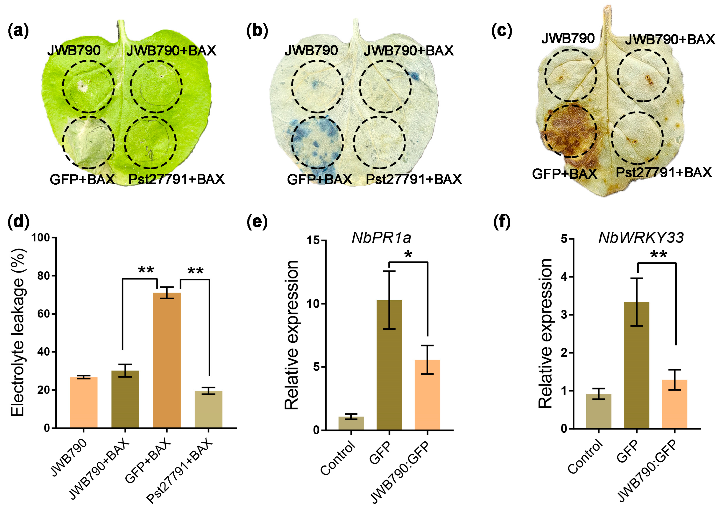 Biology 14 00528 g002