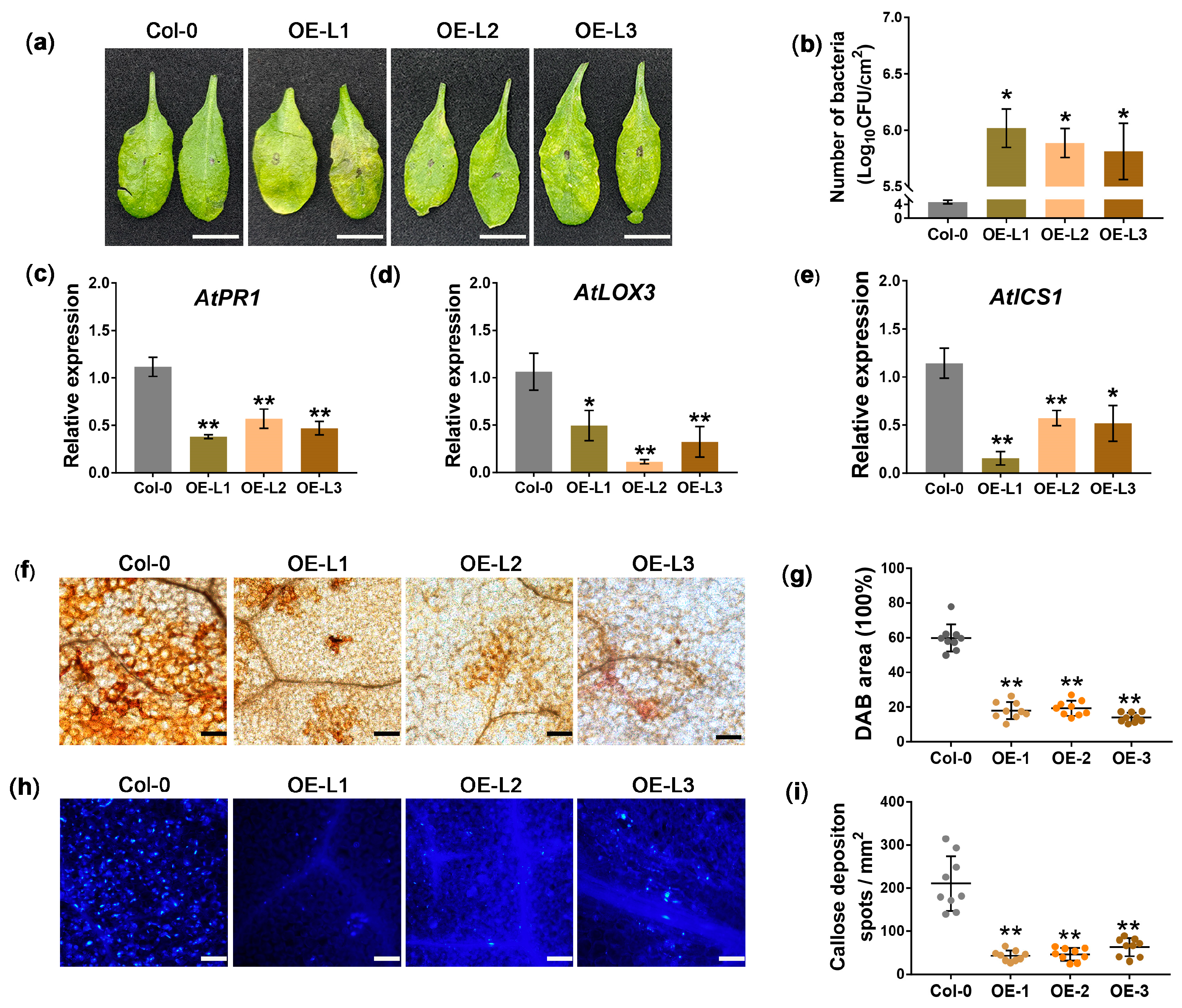 Biology 14 00528 g003