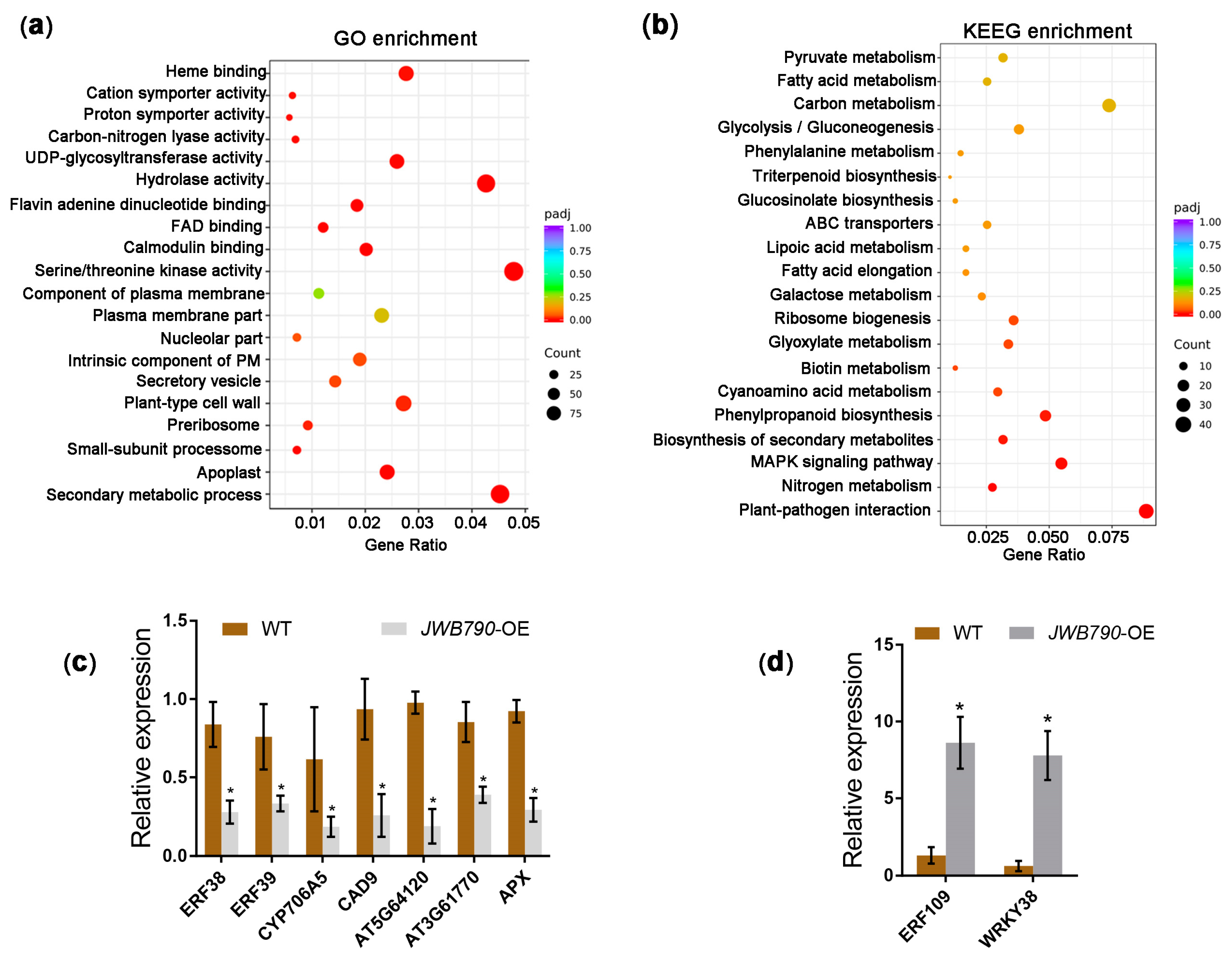 Biology 14 00528 g004