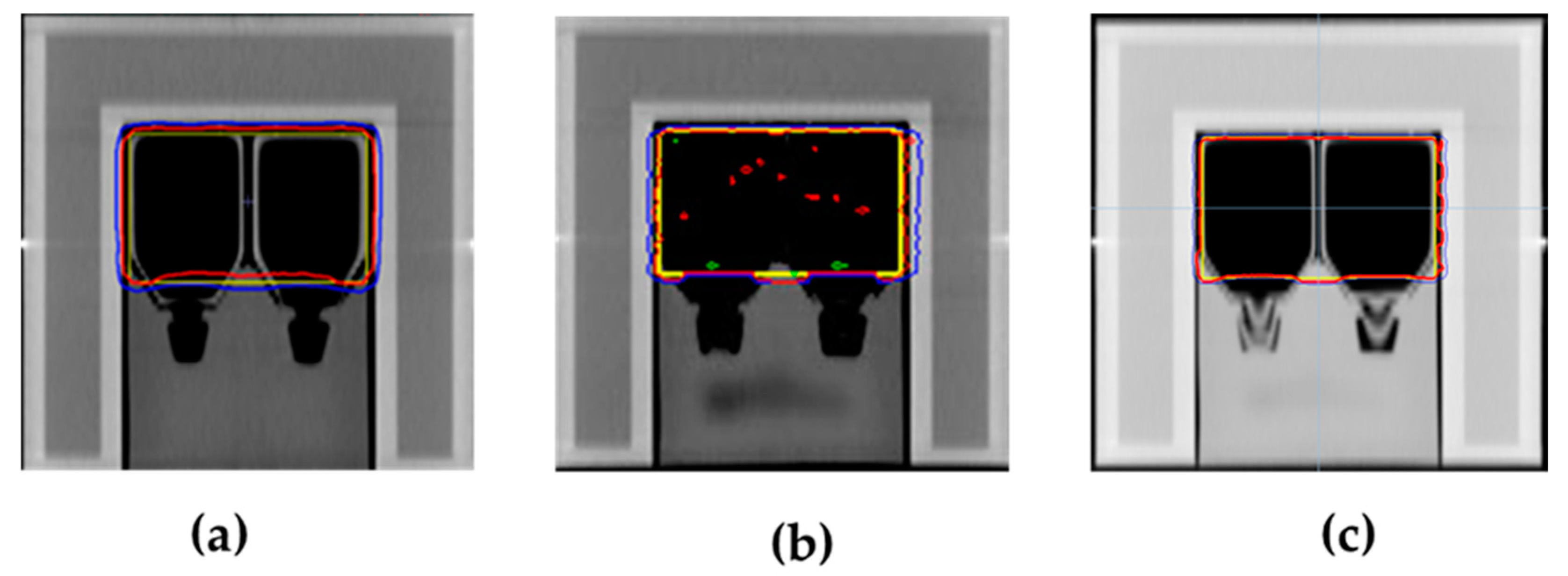 Biology 14 00529 g002