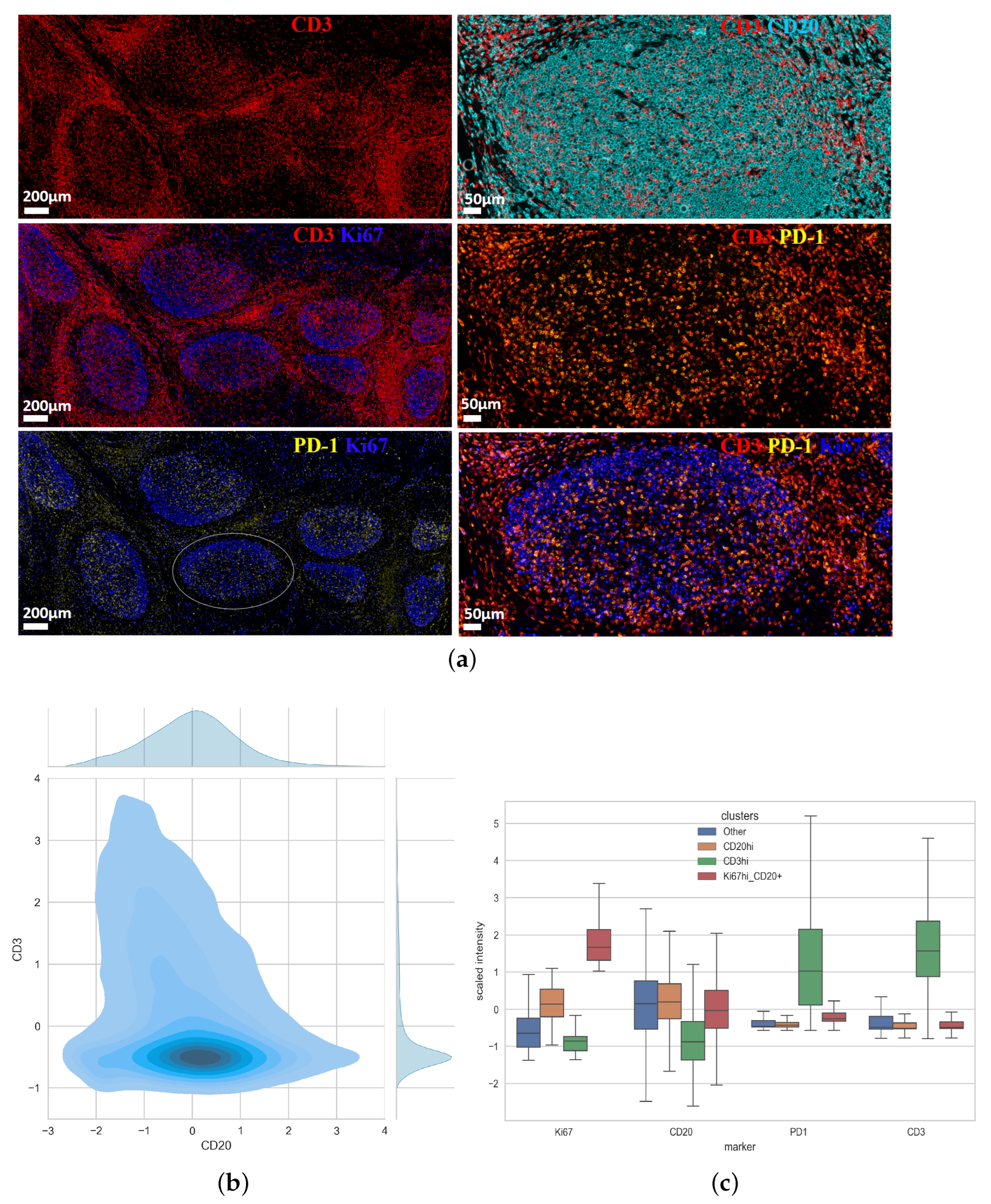 Biology 14 00530 g005