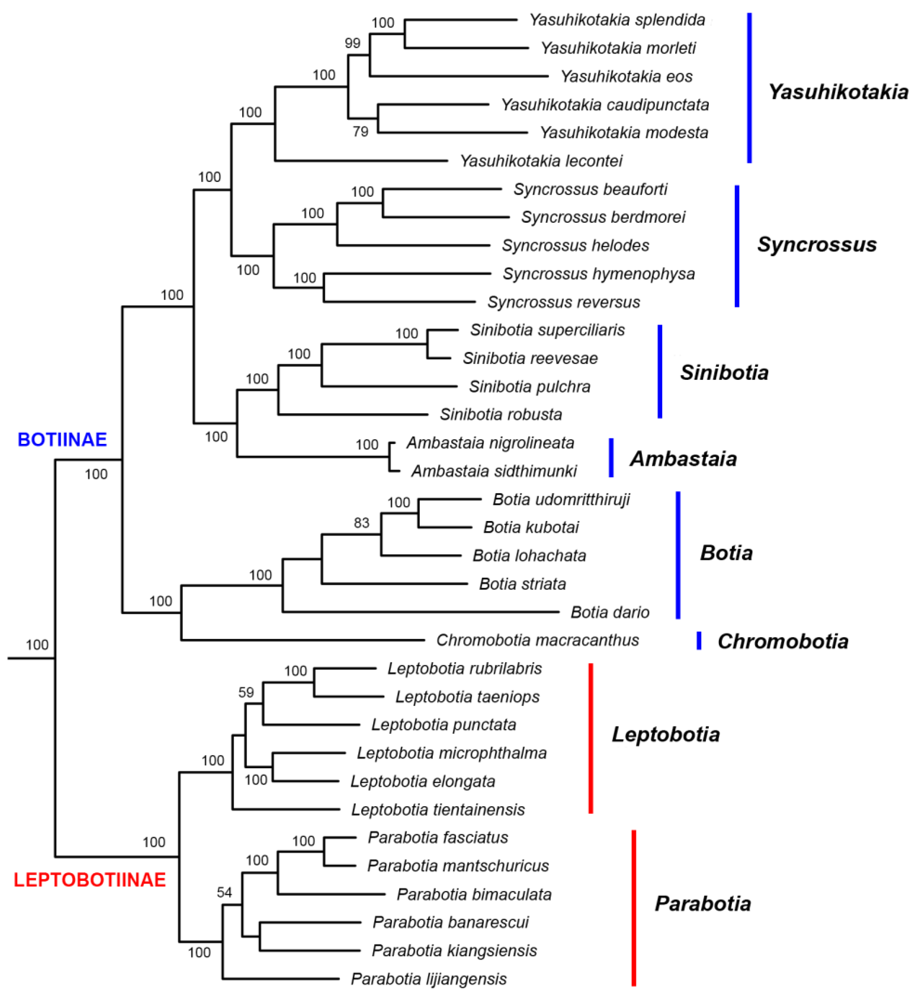 Biology 14 00531 g001 Biology 14 00531 g001