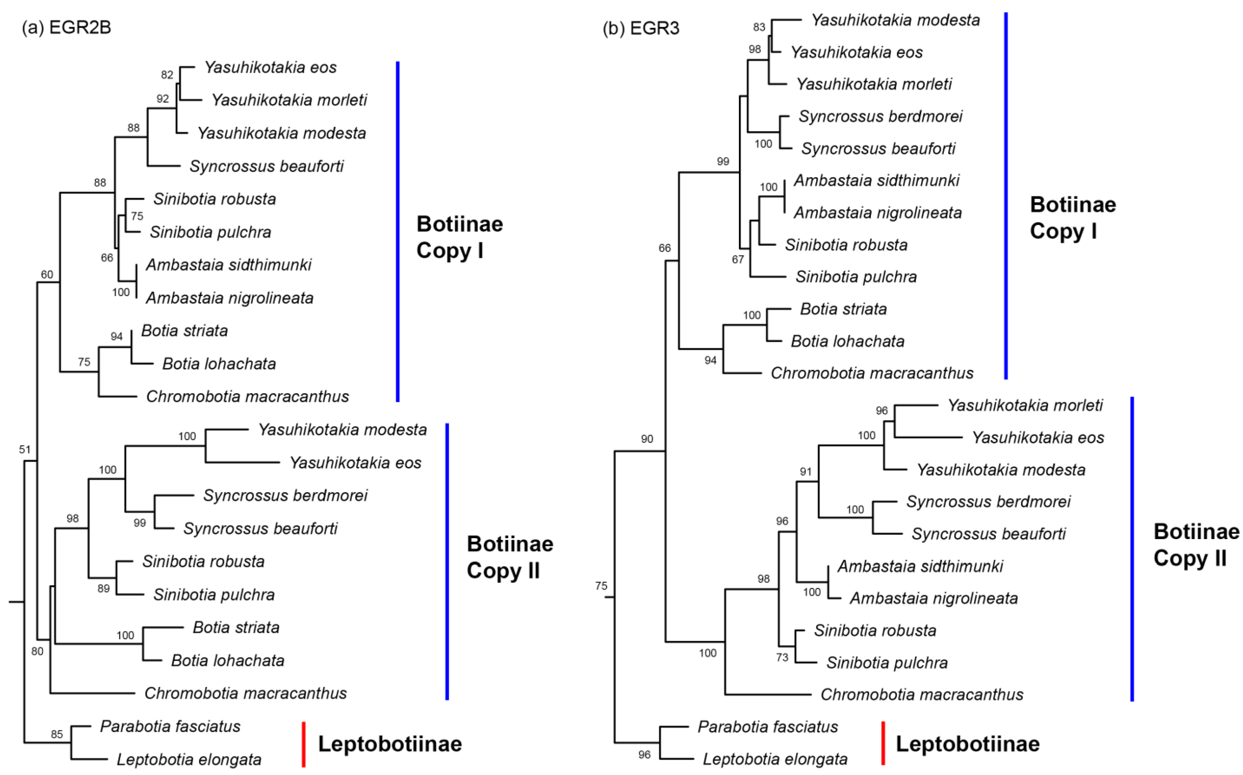 Biology 14 00531 g002 Biology 14 00531 g002