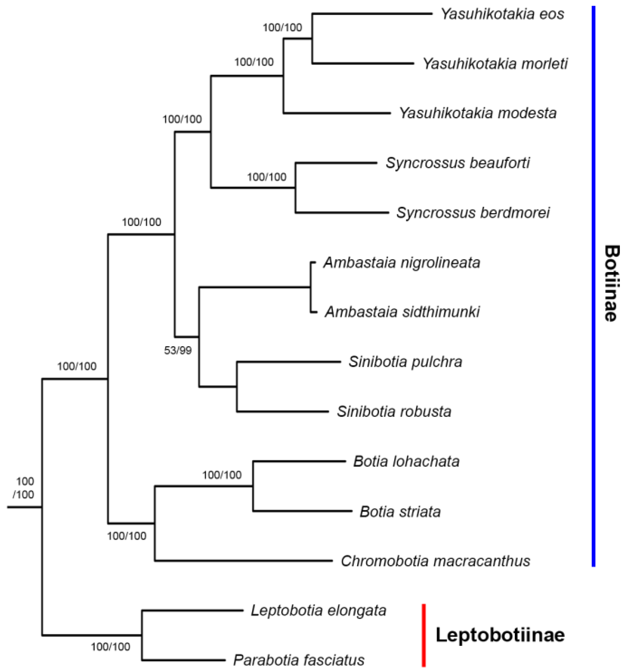 Biology 14 00531 g004 Biology 14 00531 g004