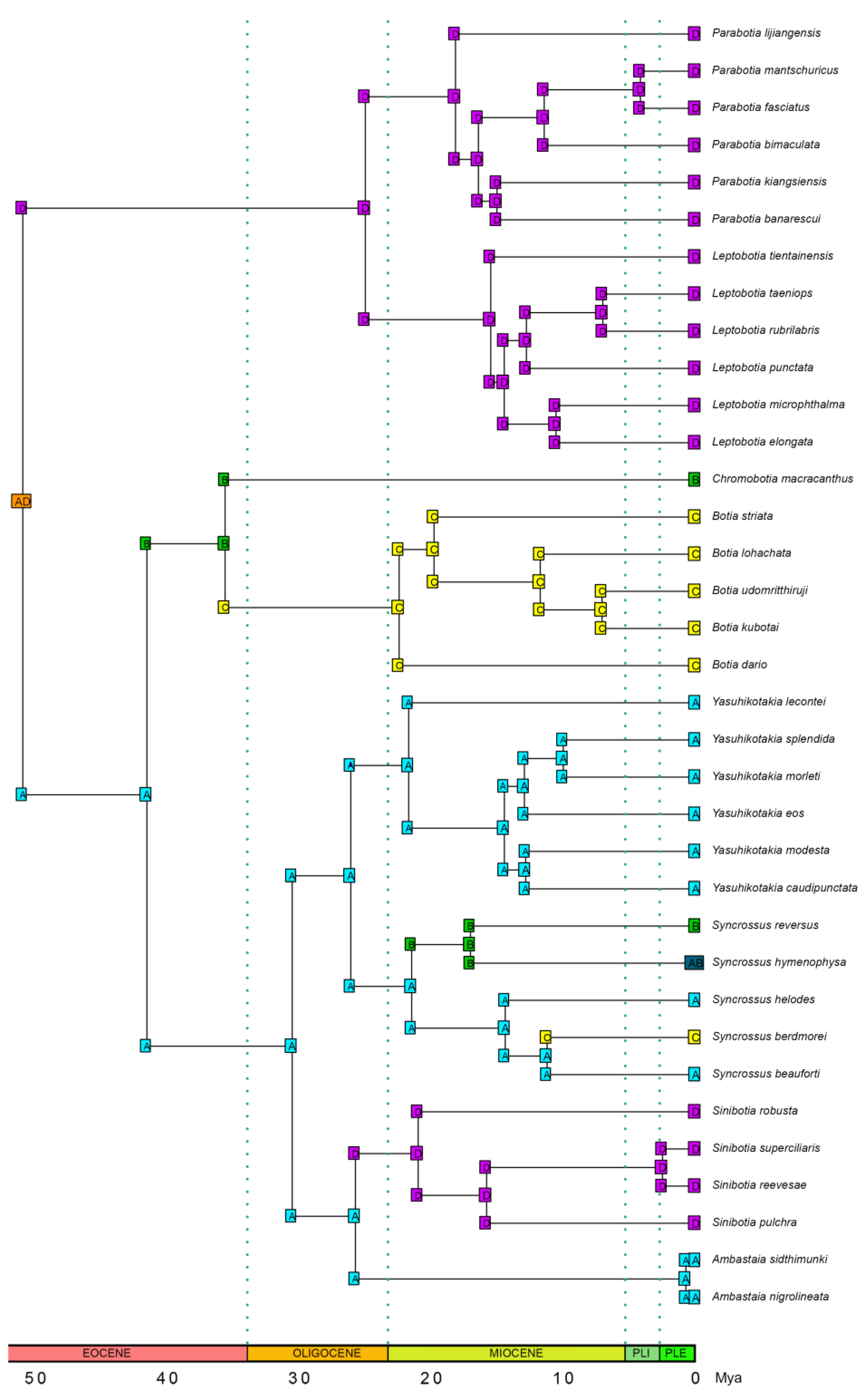 Biology 14 00531 g006 Biology 14 00531 g006
