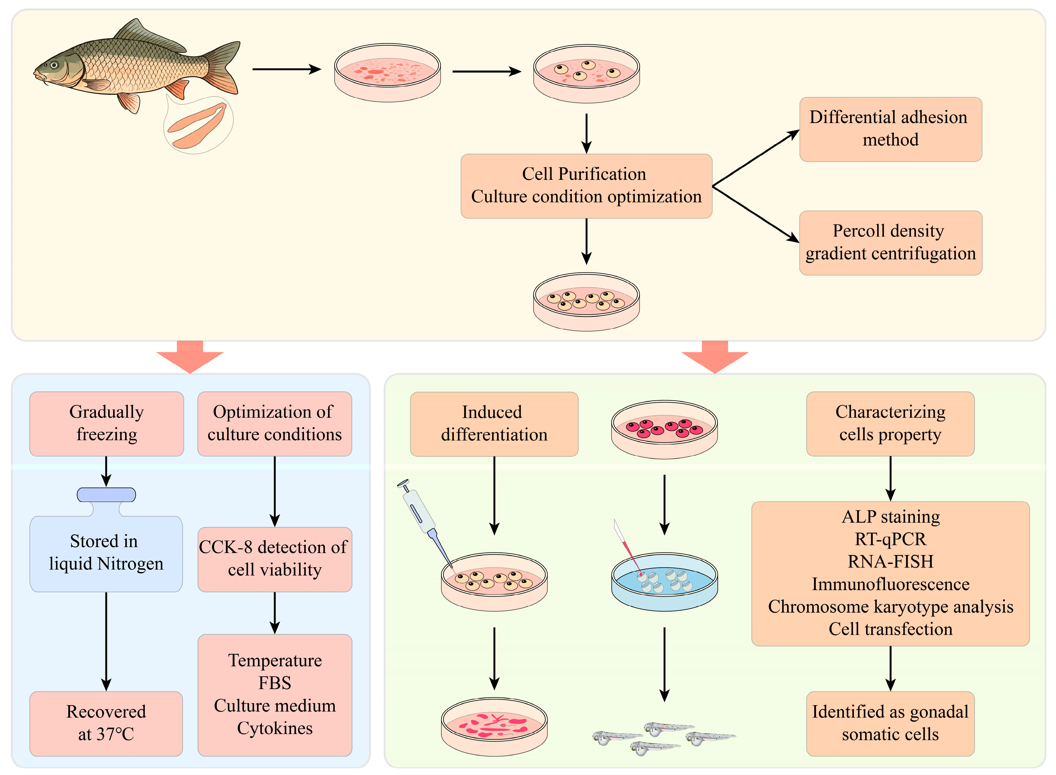Biology 14 00536 g001 Biology 14 00536 g001