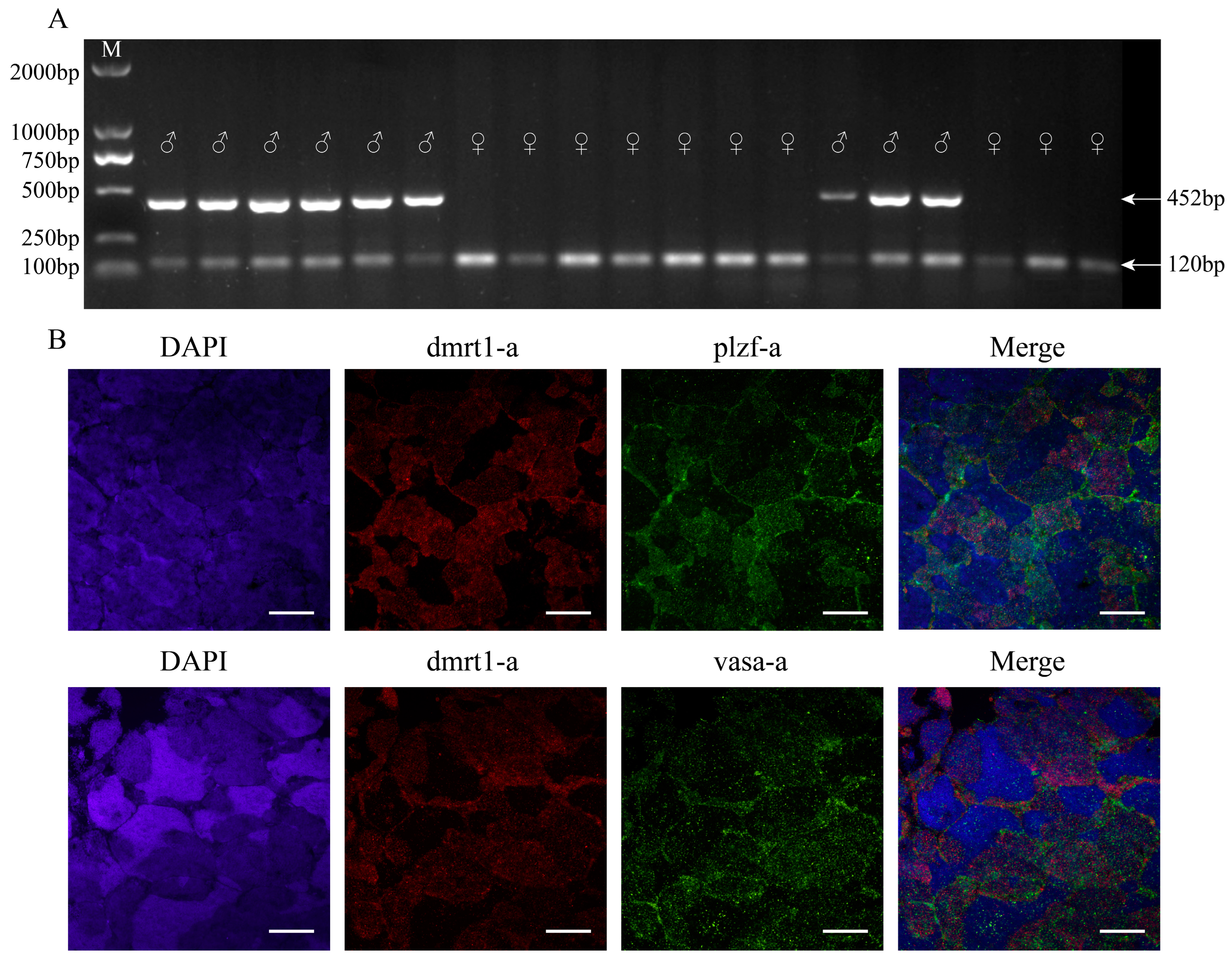 Biology 14 00536 g002 Biology 14 00536 g002