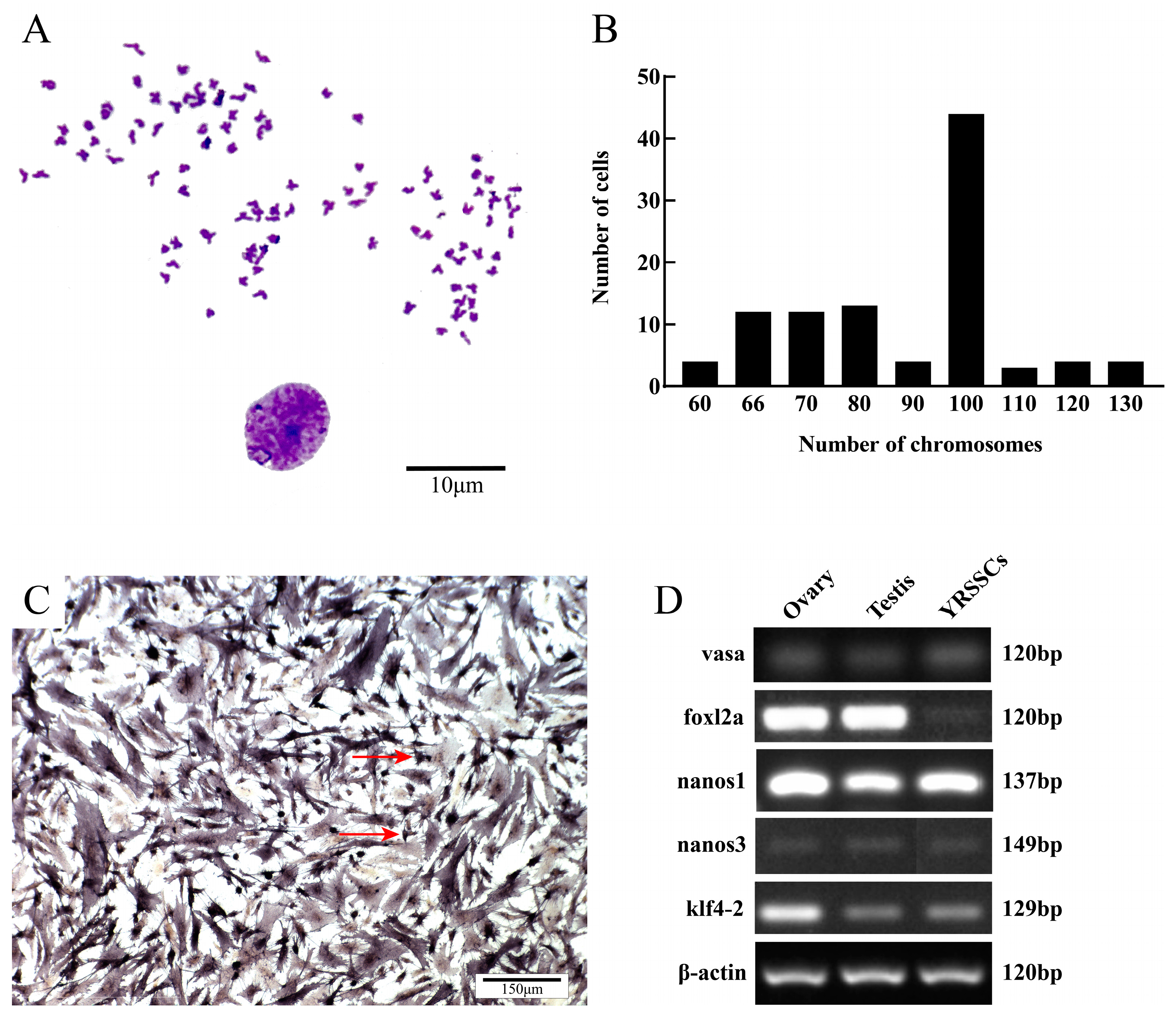 Biology 14 00536 g005 Biology 14 00536 g005