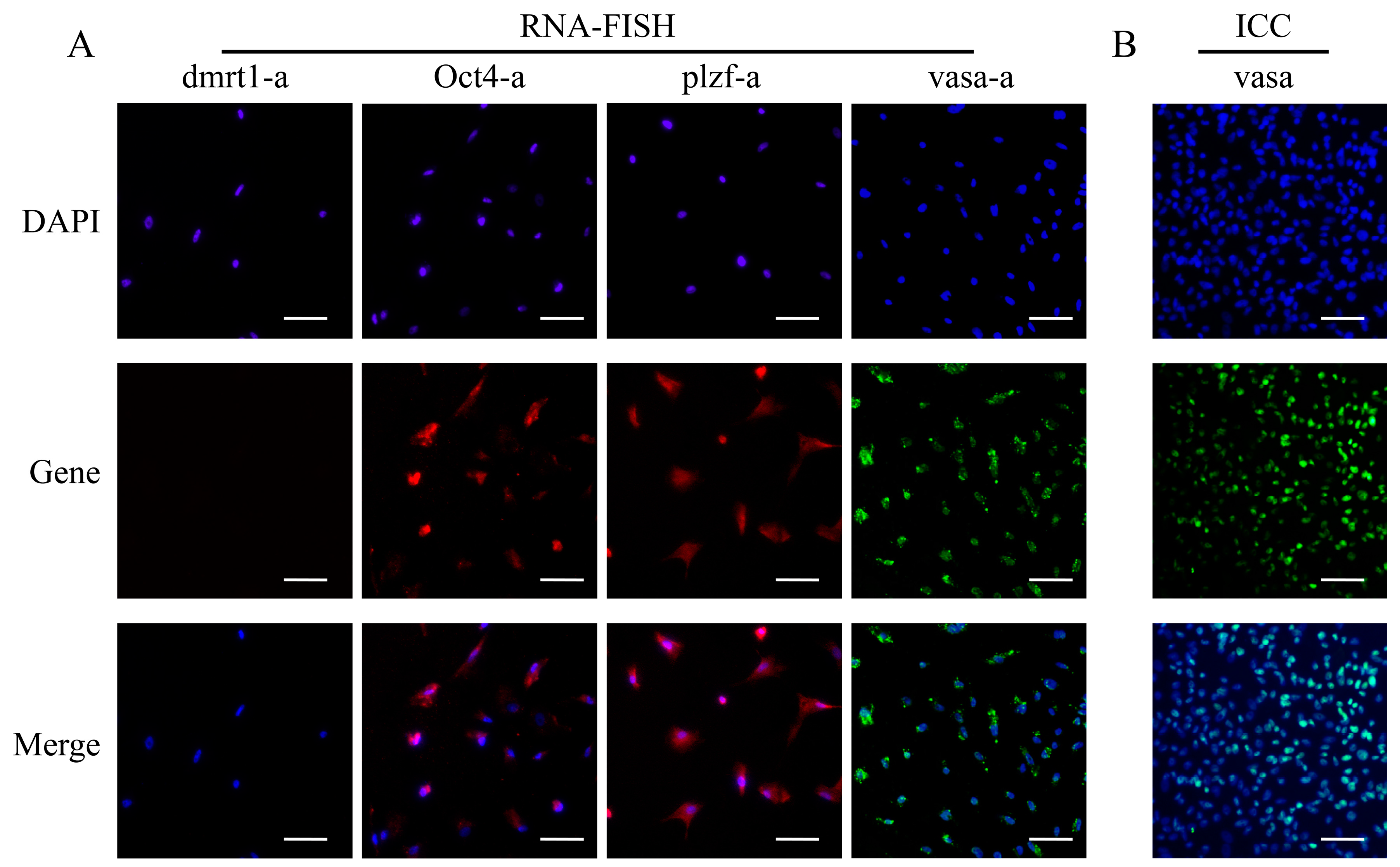 Biology 14 00536 g006 Biology 14 00536 g006