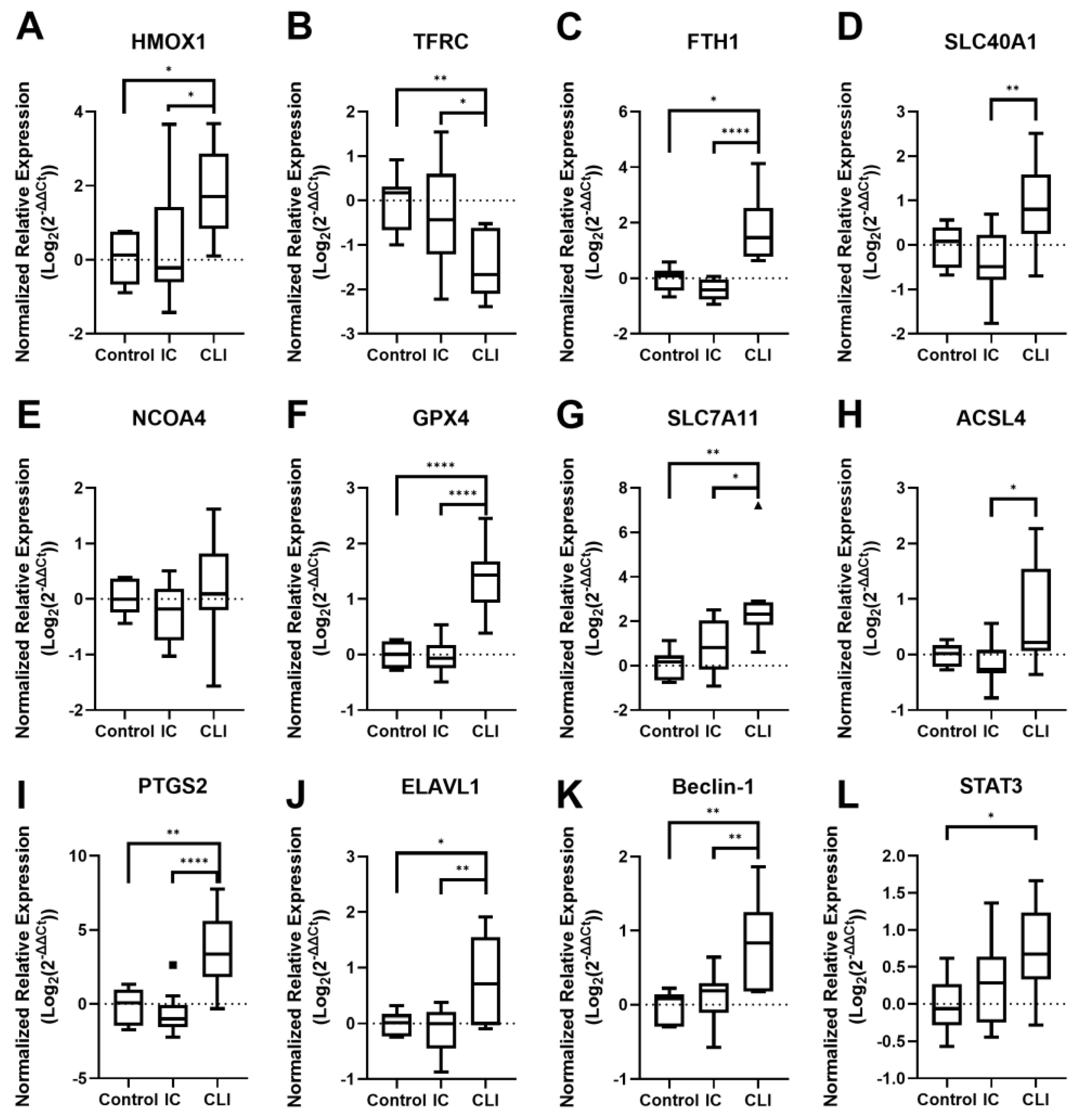 Biology 14 00537 g001