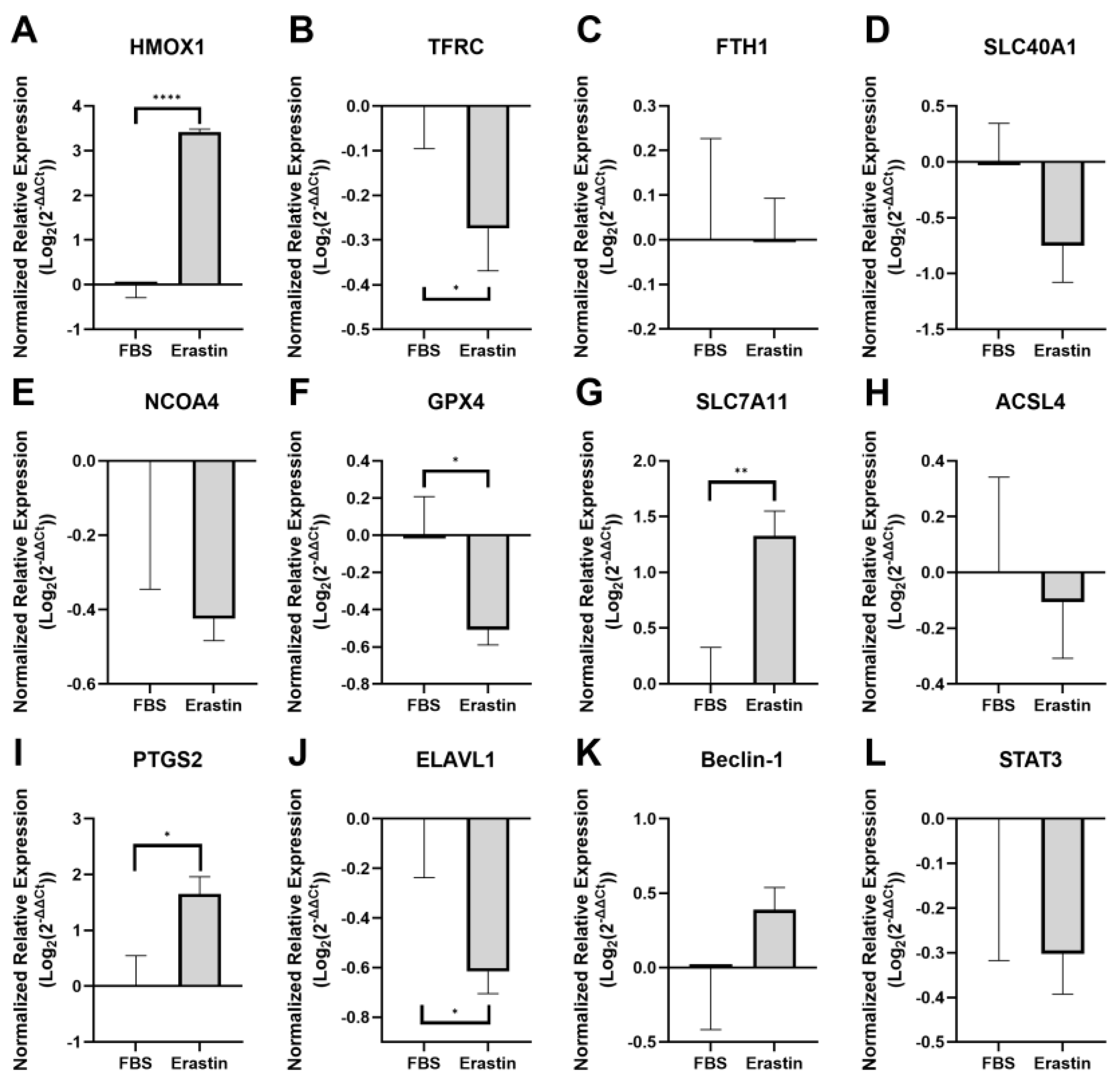 Biology 14 00537 g002