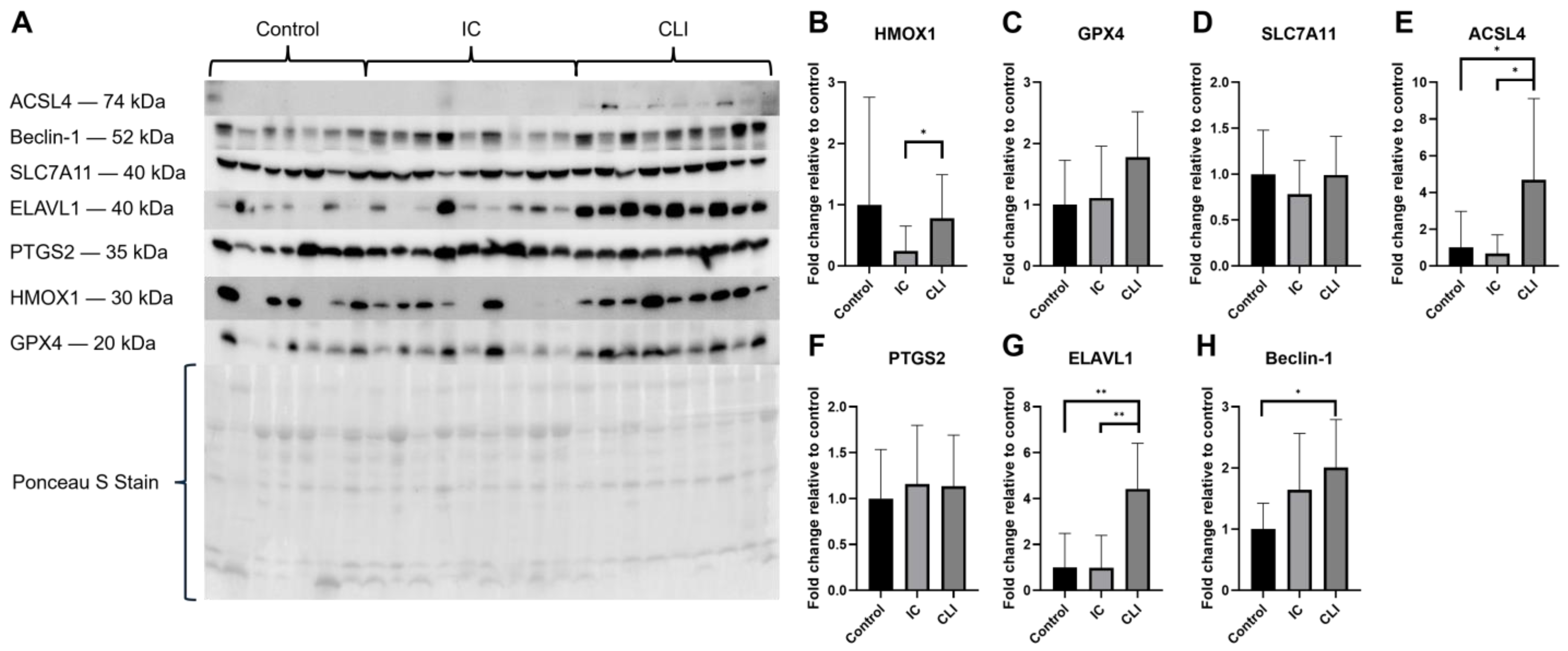 Biology 14 00537 g003