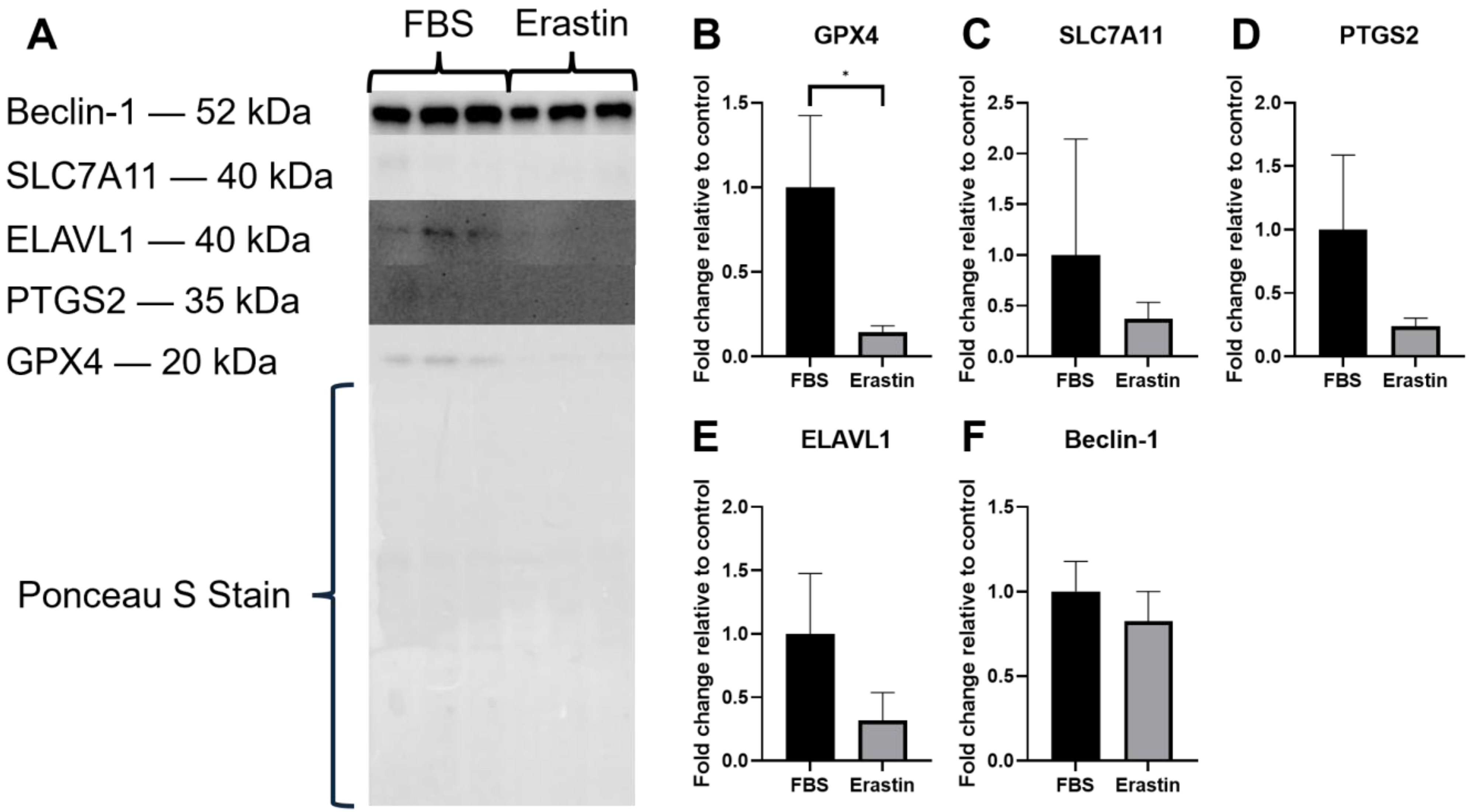 Biology 14 00537 g004