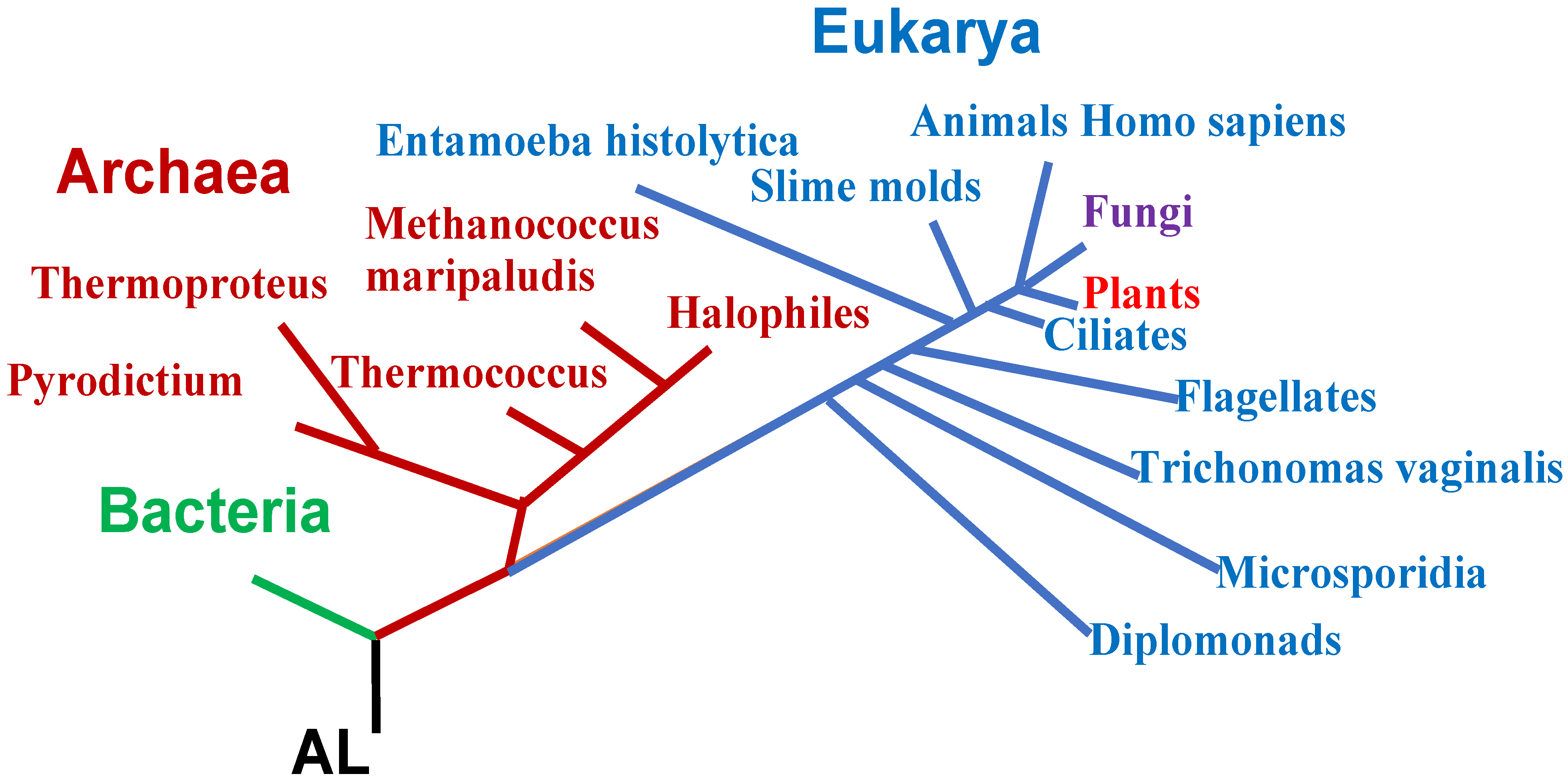 Biology 14 00538 g005 Biology 14 00538 g005