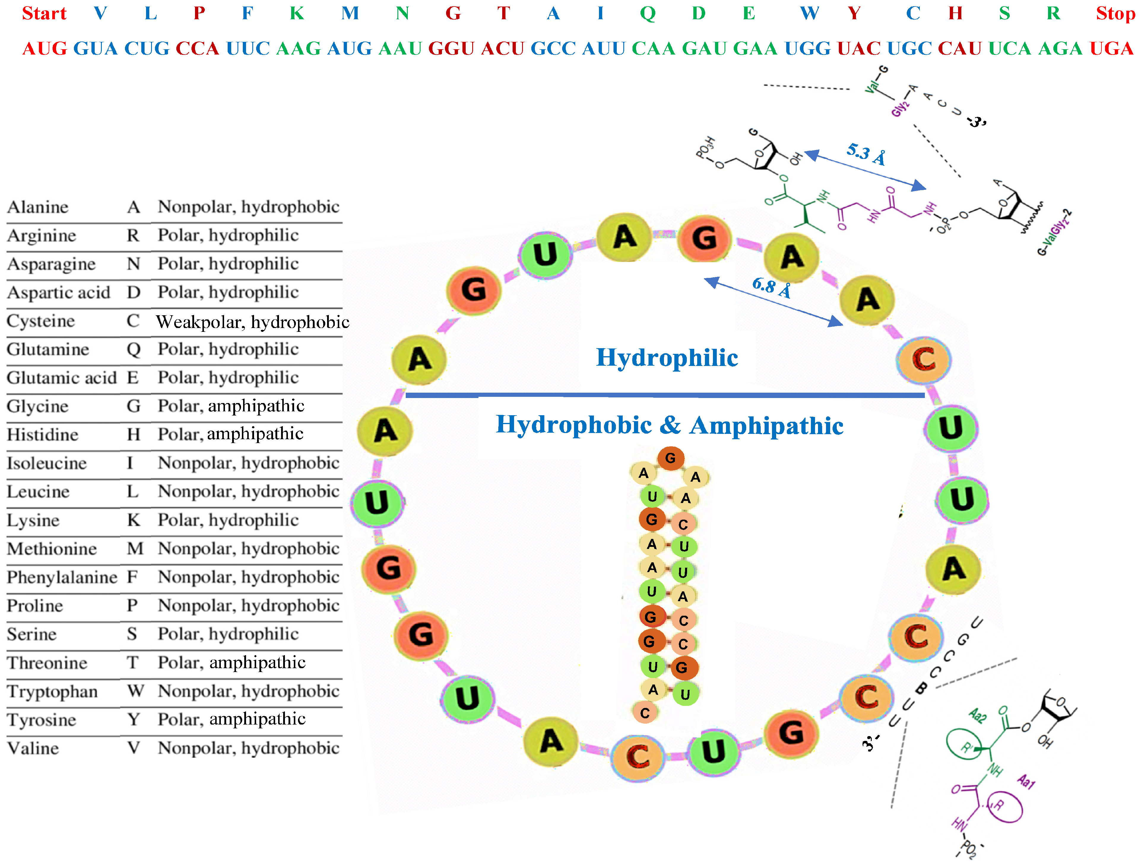Biology 14 00538 g007 Biology 14 00538 g007