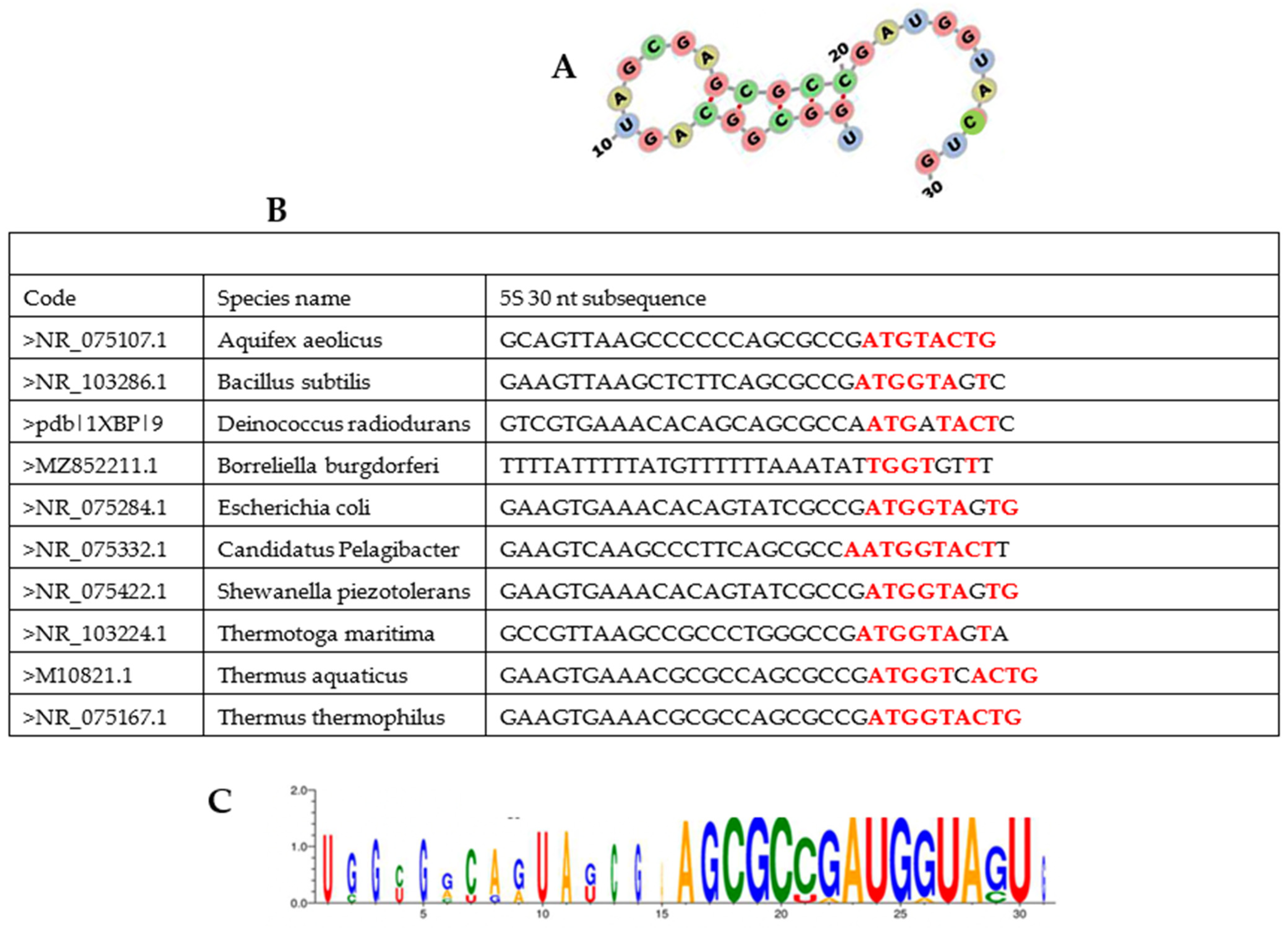 Biology 14 00538 g008 Biology 14 00538 g008