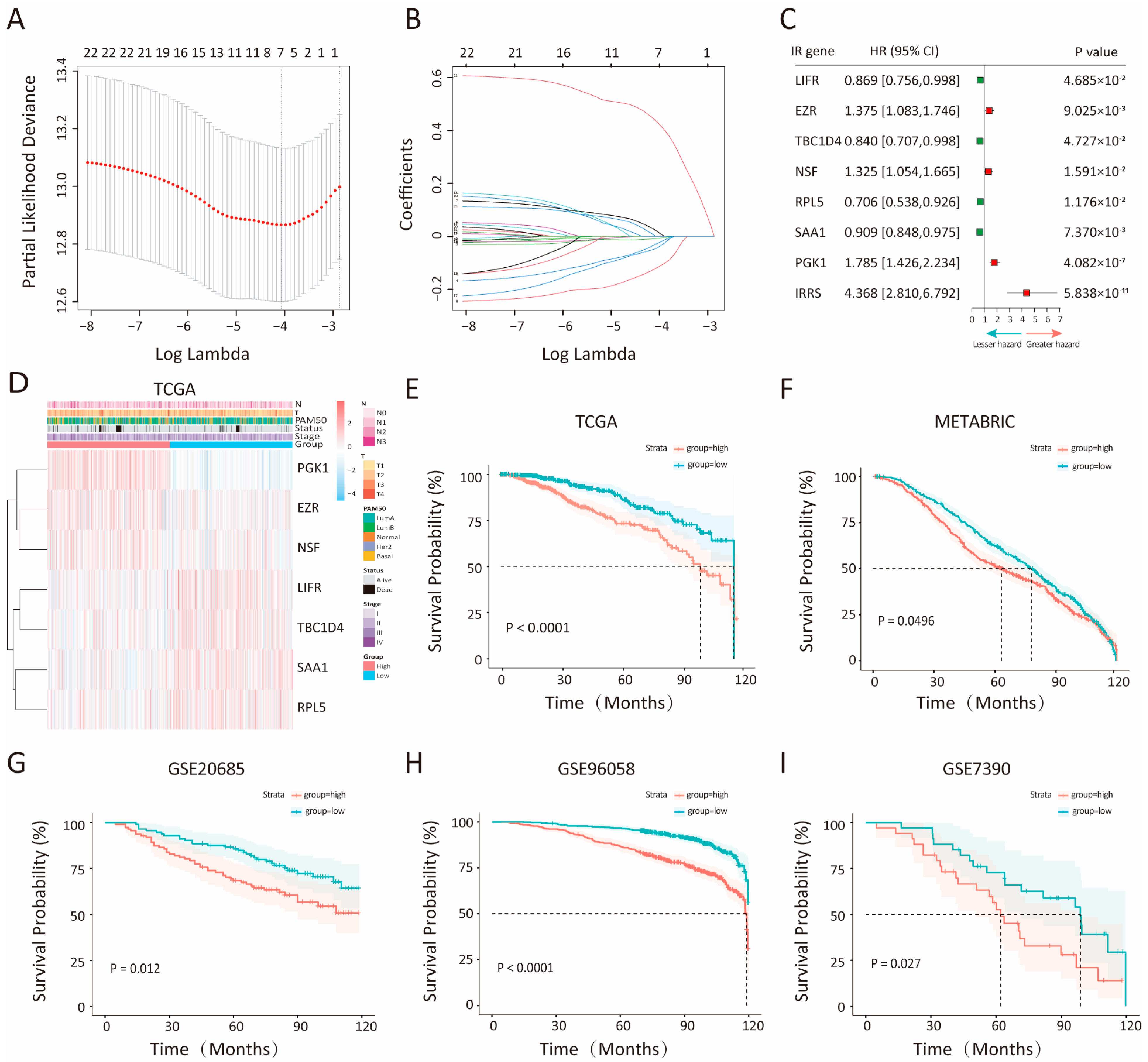 Biology 14 00539 g001