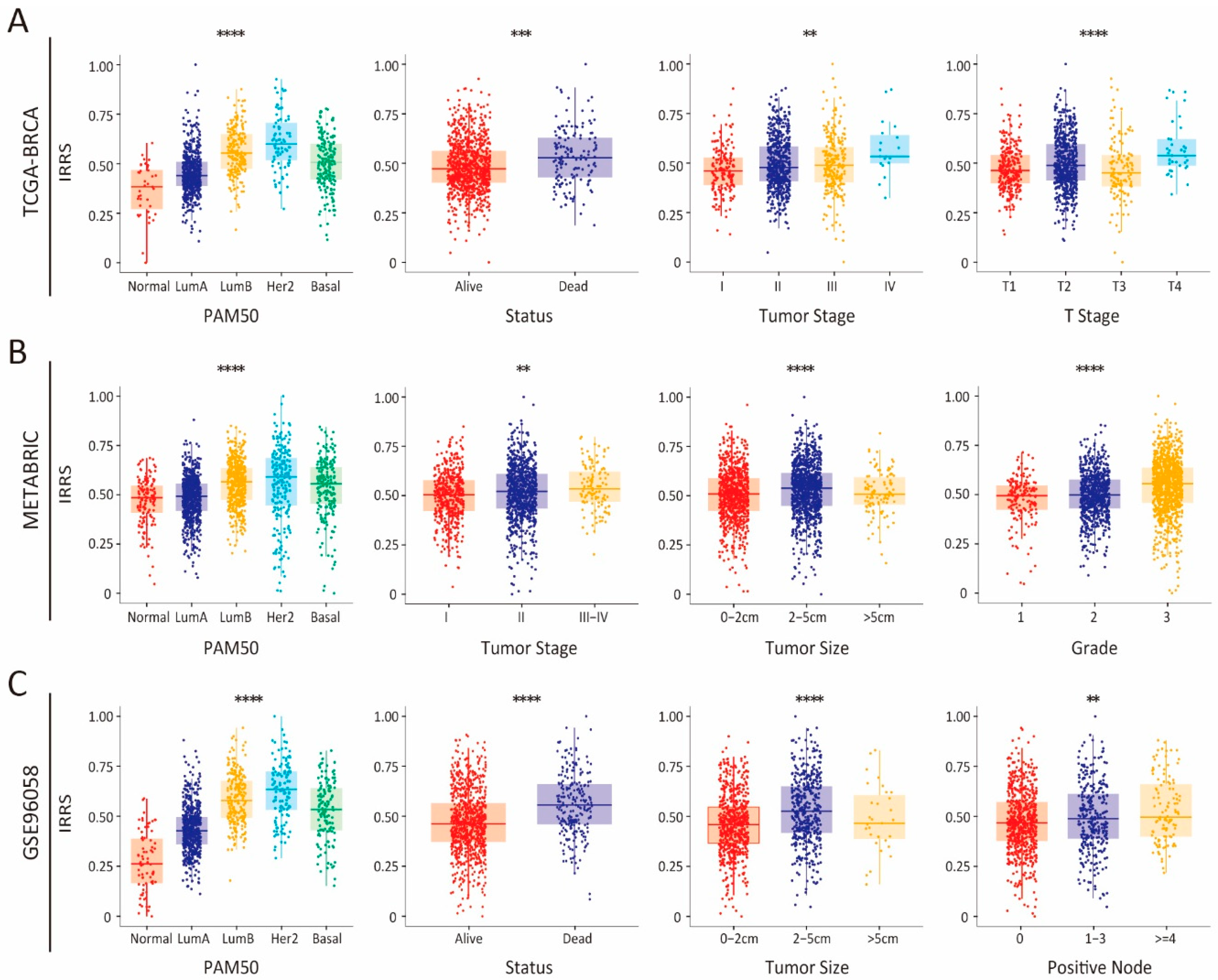 Biology 14 00539 g002