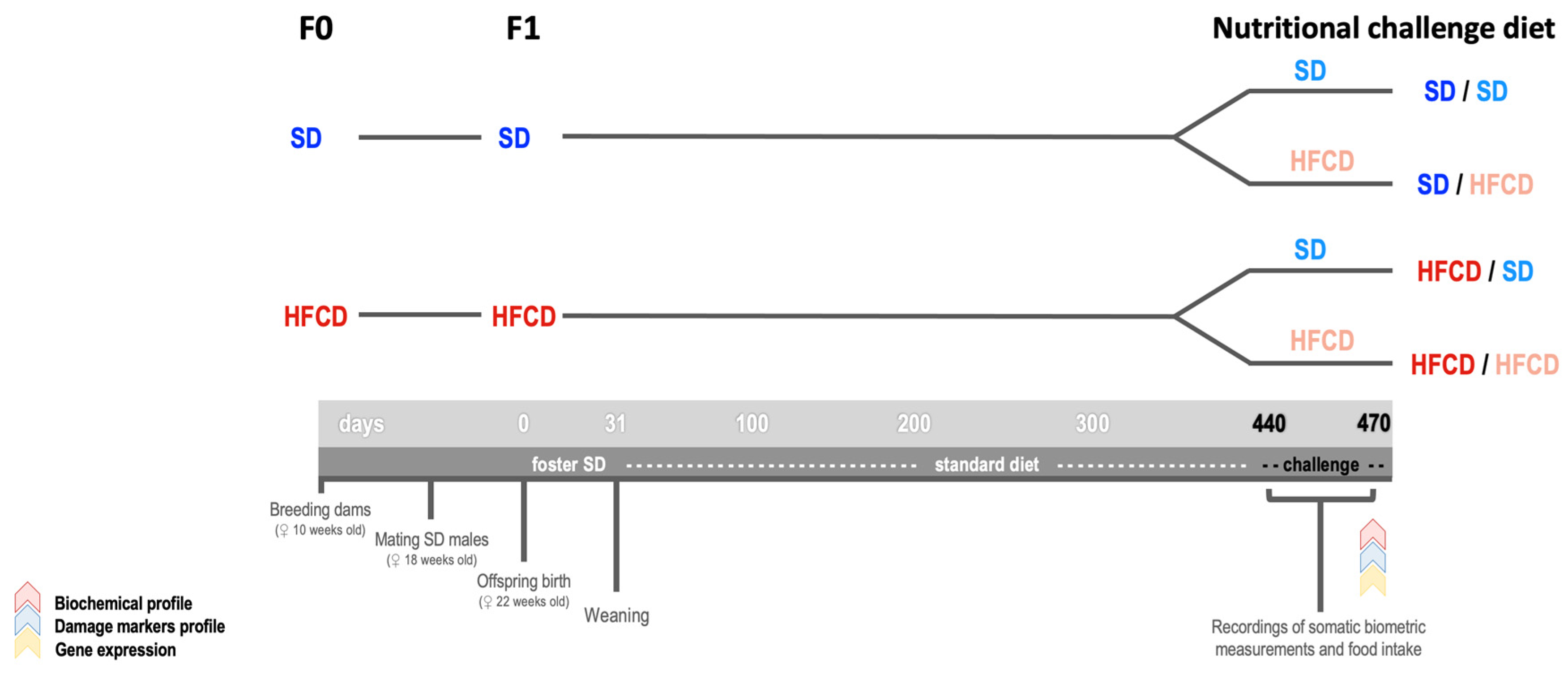 Biology 14 00541 g001
