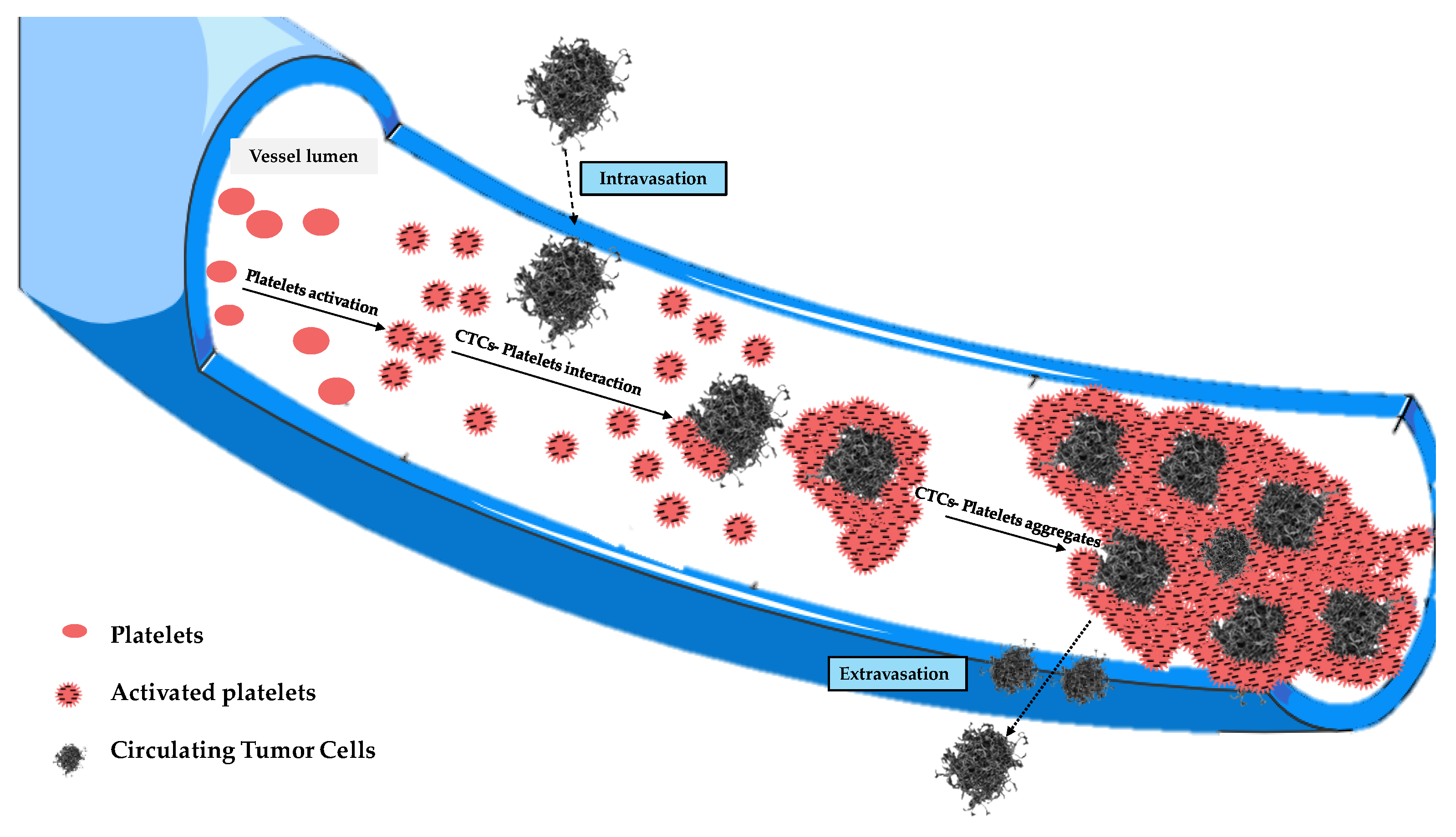 Biology 14 00542 g005 Biology 14 00542 g005