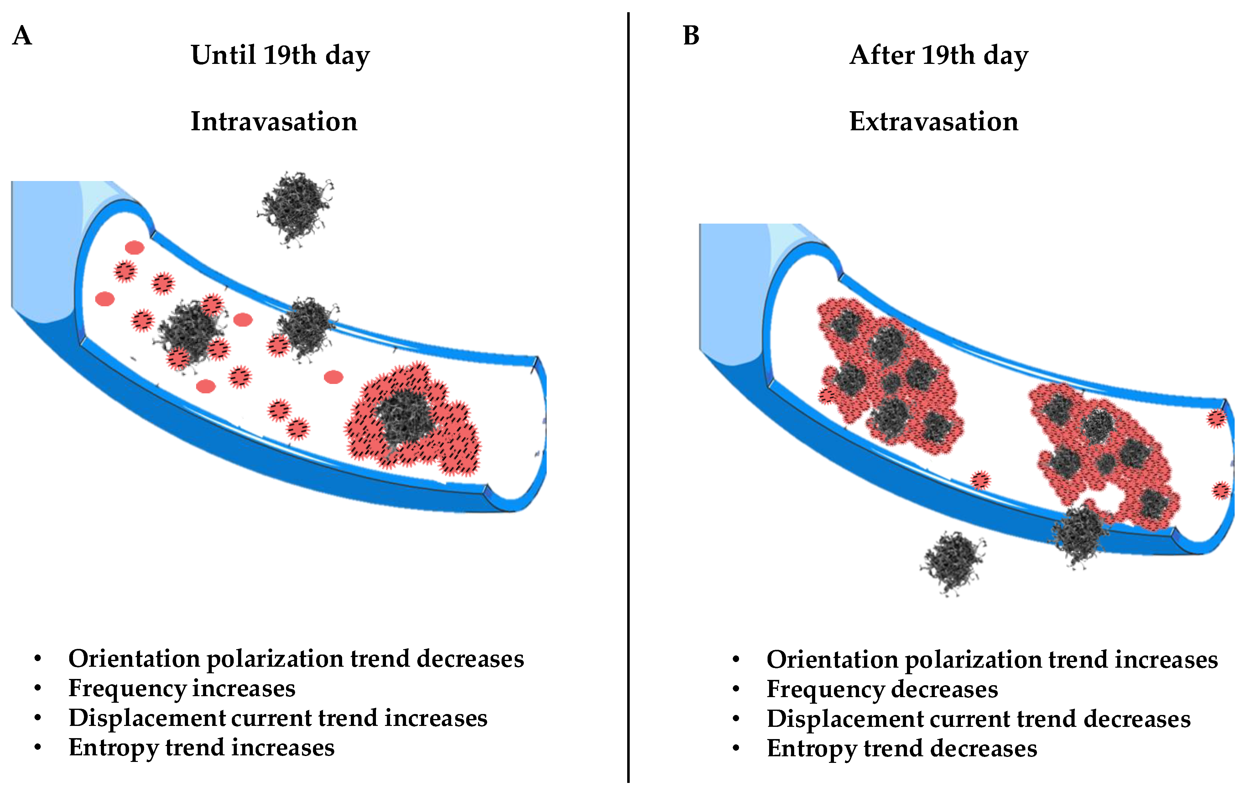 Biology 14 00542 g006 Biology 14 00542 g006