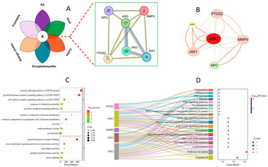 Anti-Inflammatory Mechanism Prediction of Sinomenine Based