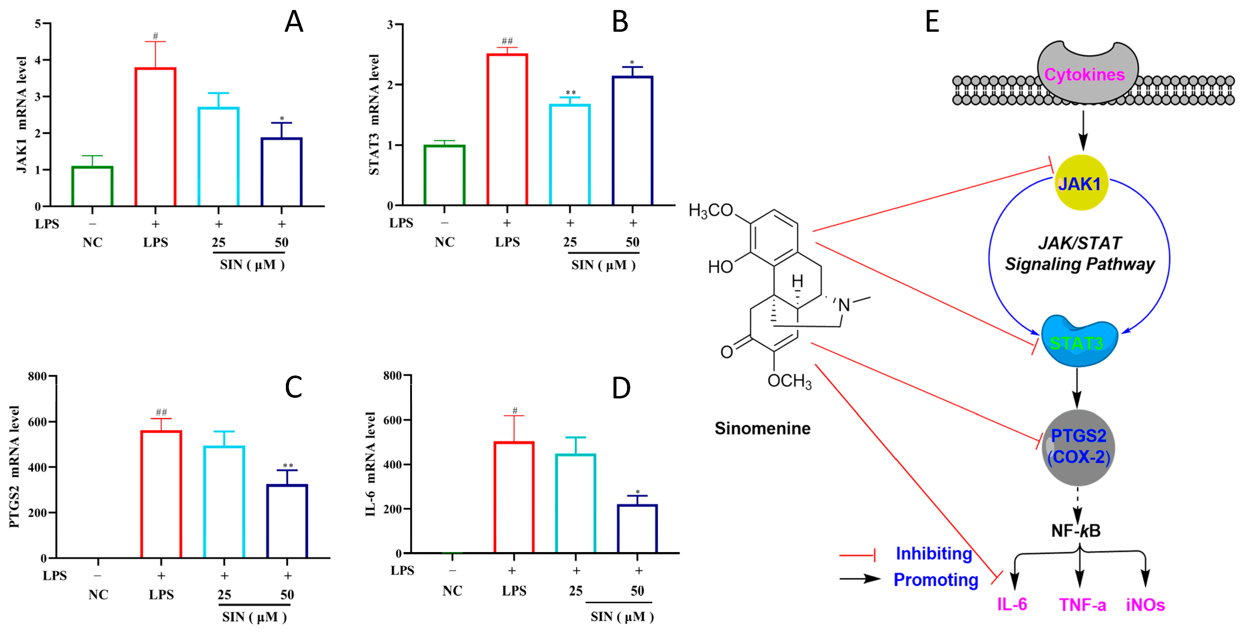 Biology 14 00543 g005