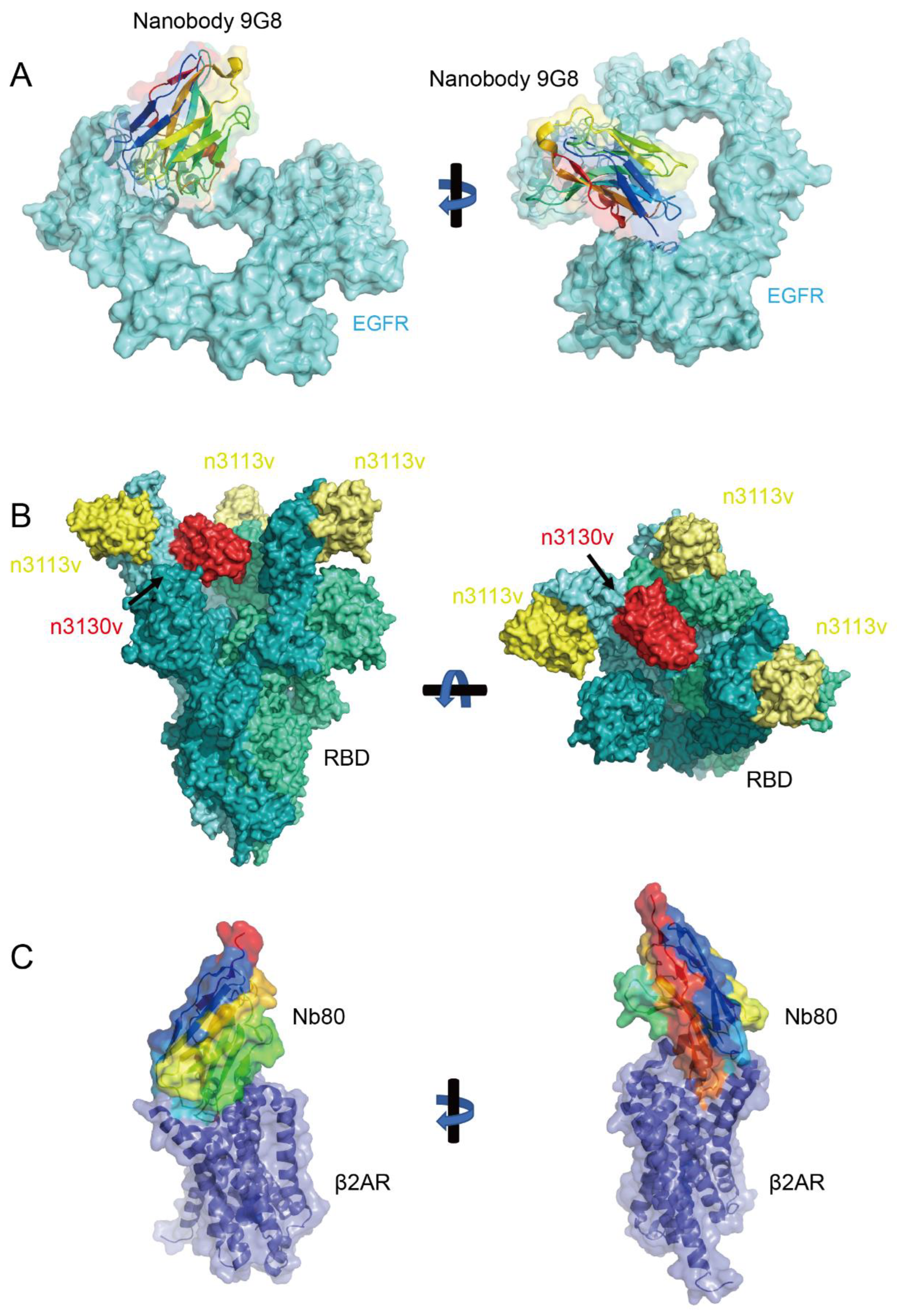 Biology 14 00547 g002