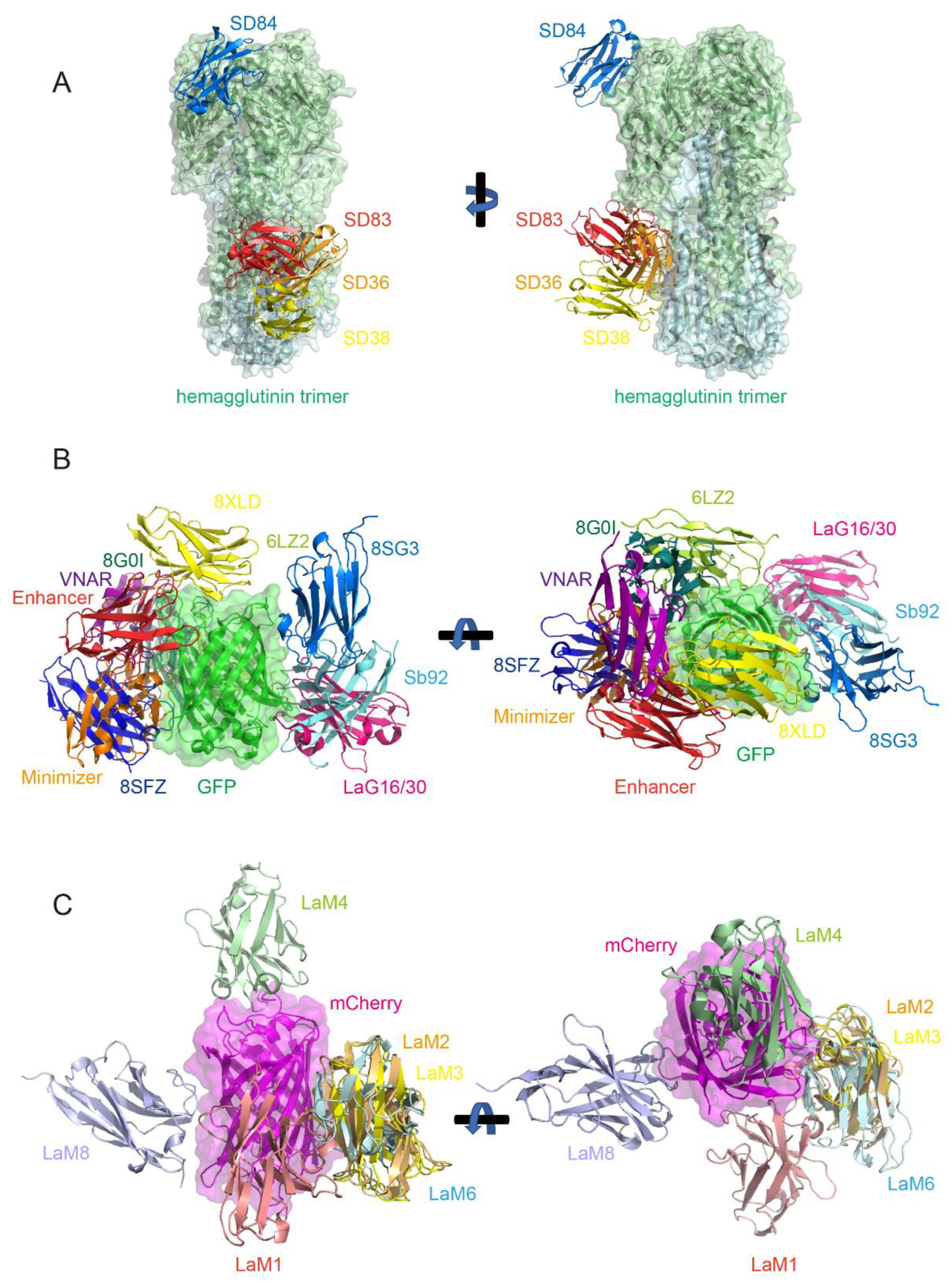 Biology 14 00547 g005
