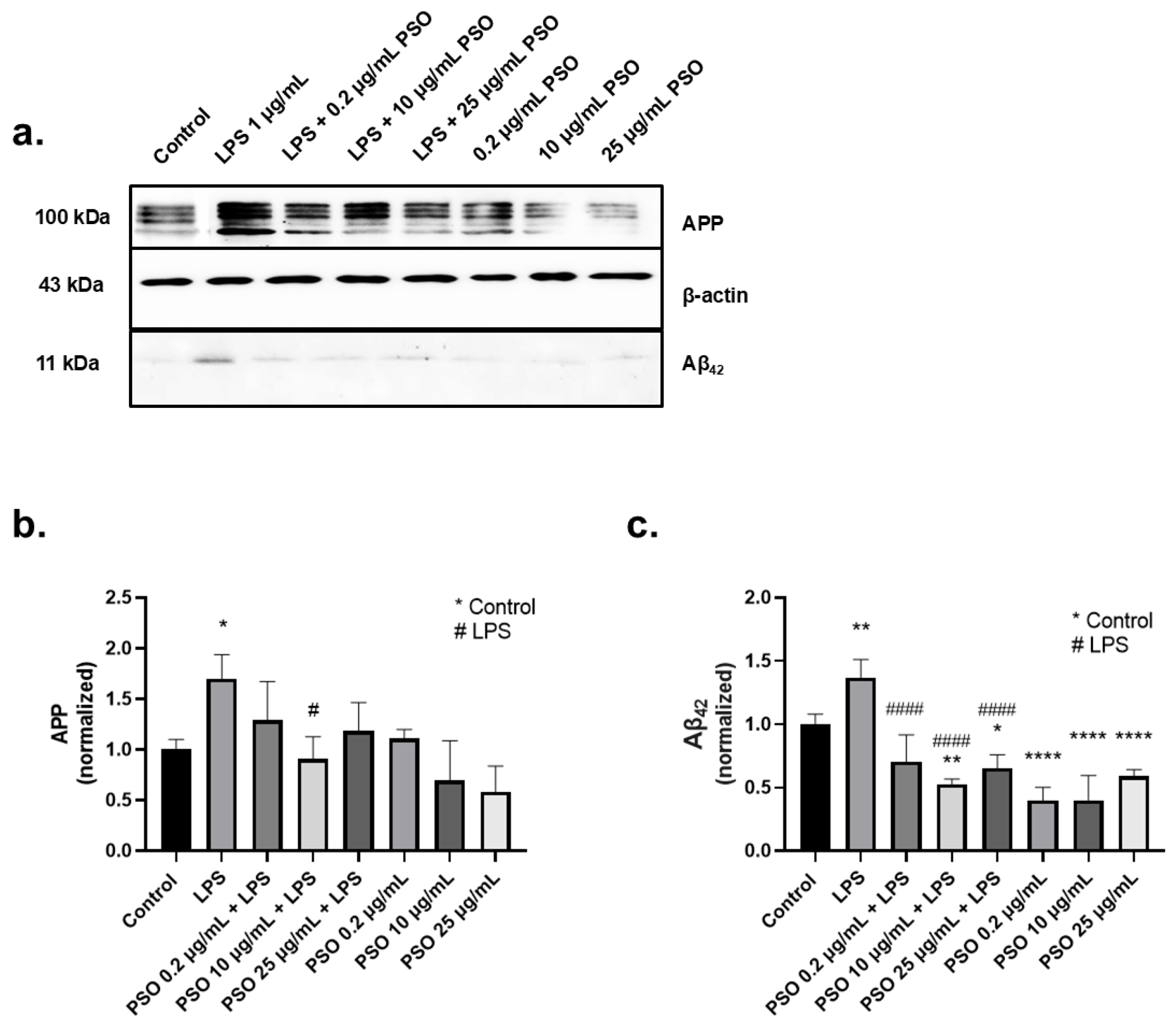 Biology 14 00548 g001