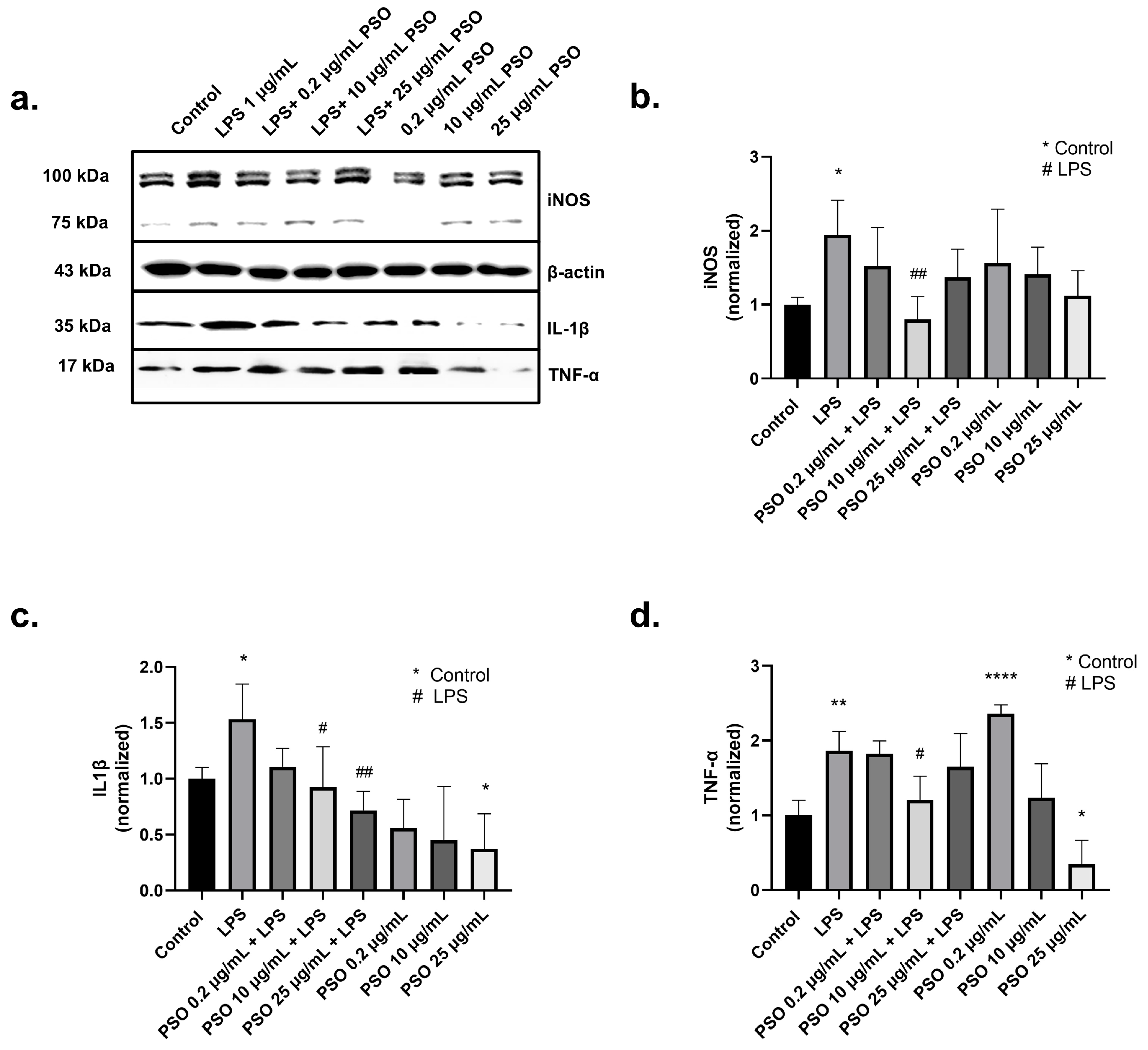 Biology 14 00548 g003