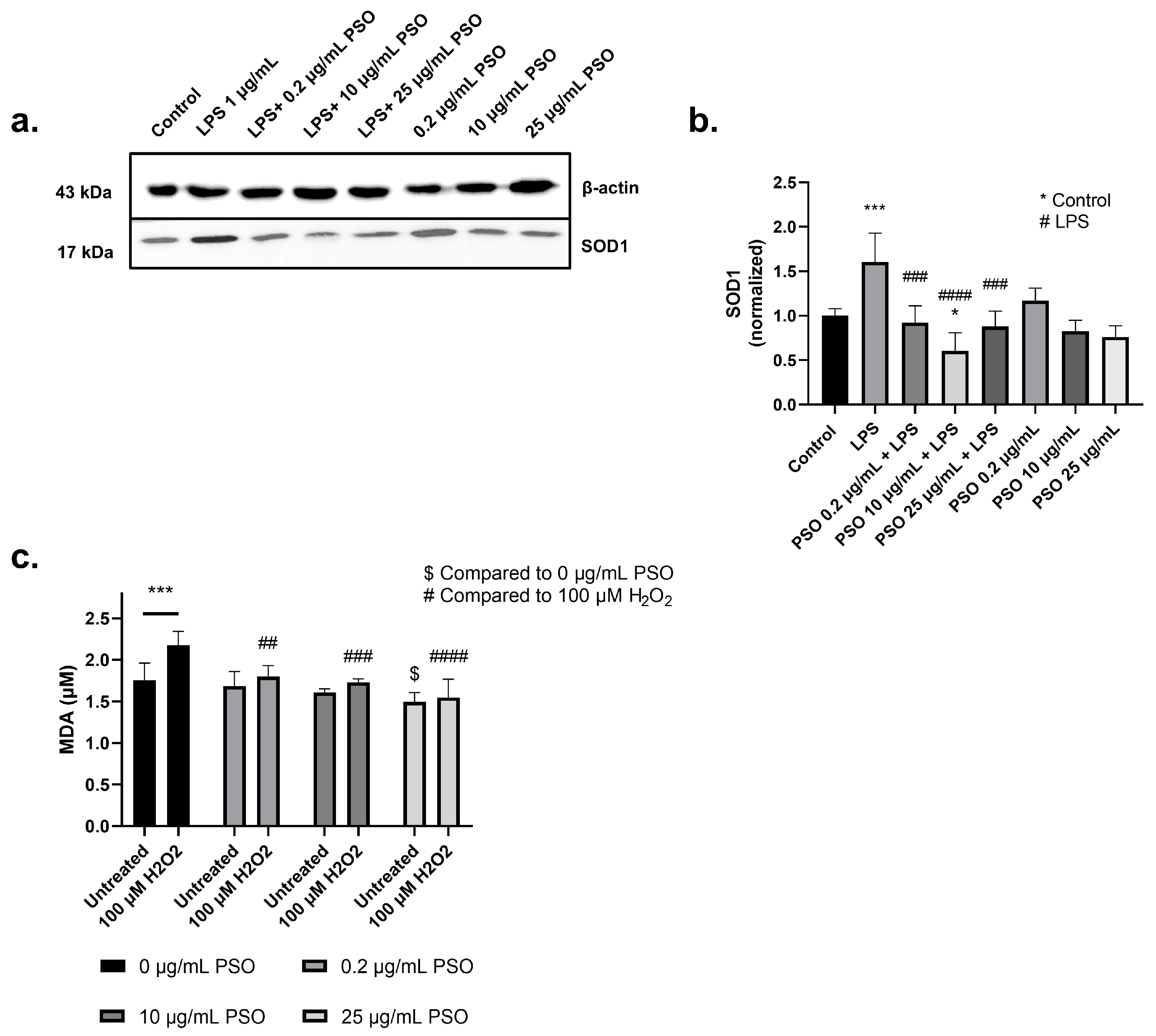 Biology 14 00548 g004