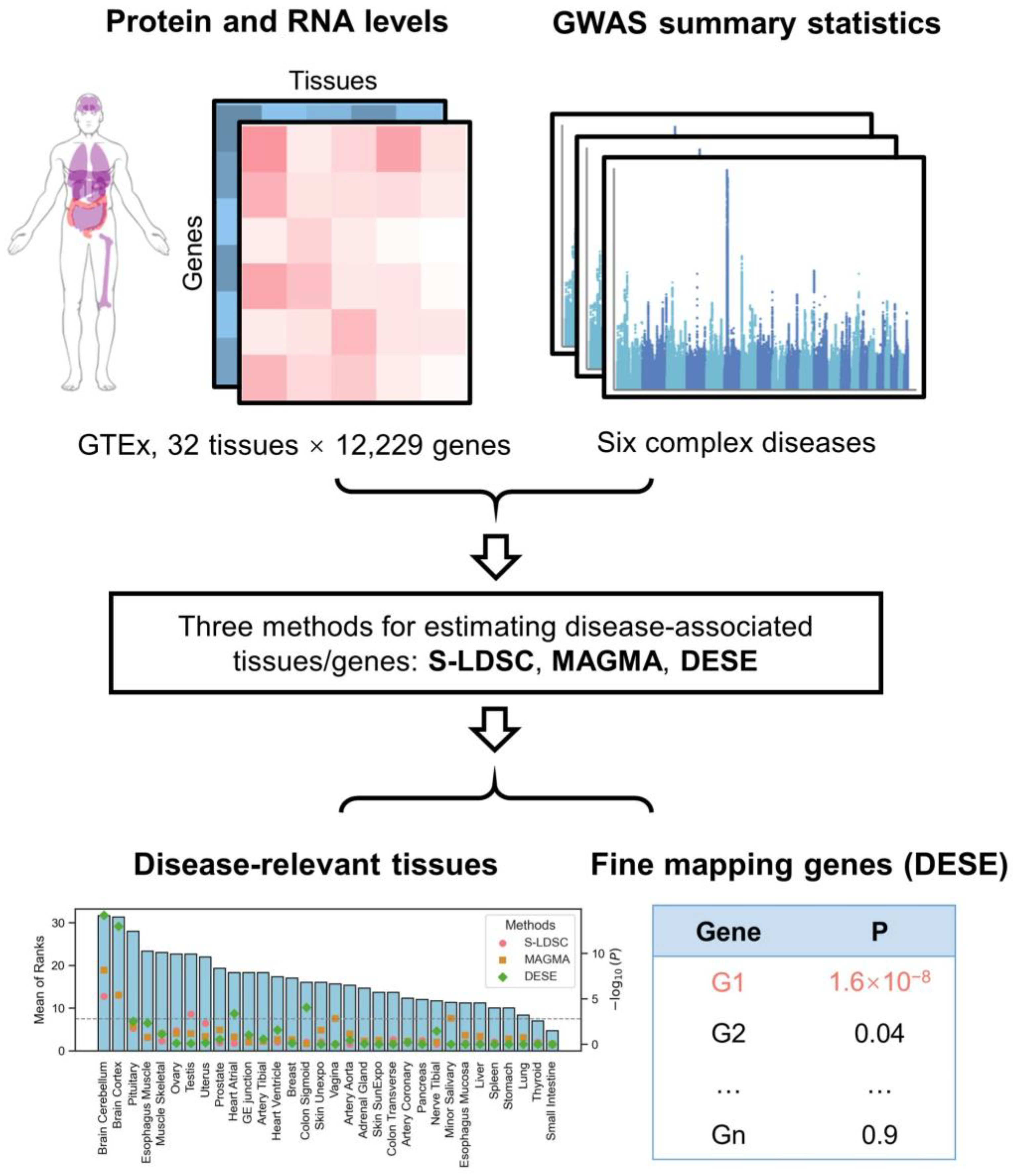 Biology 14 00554 g001