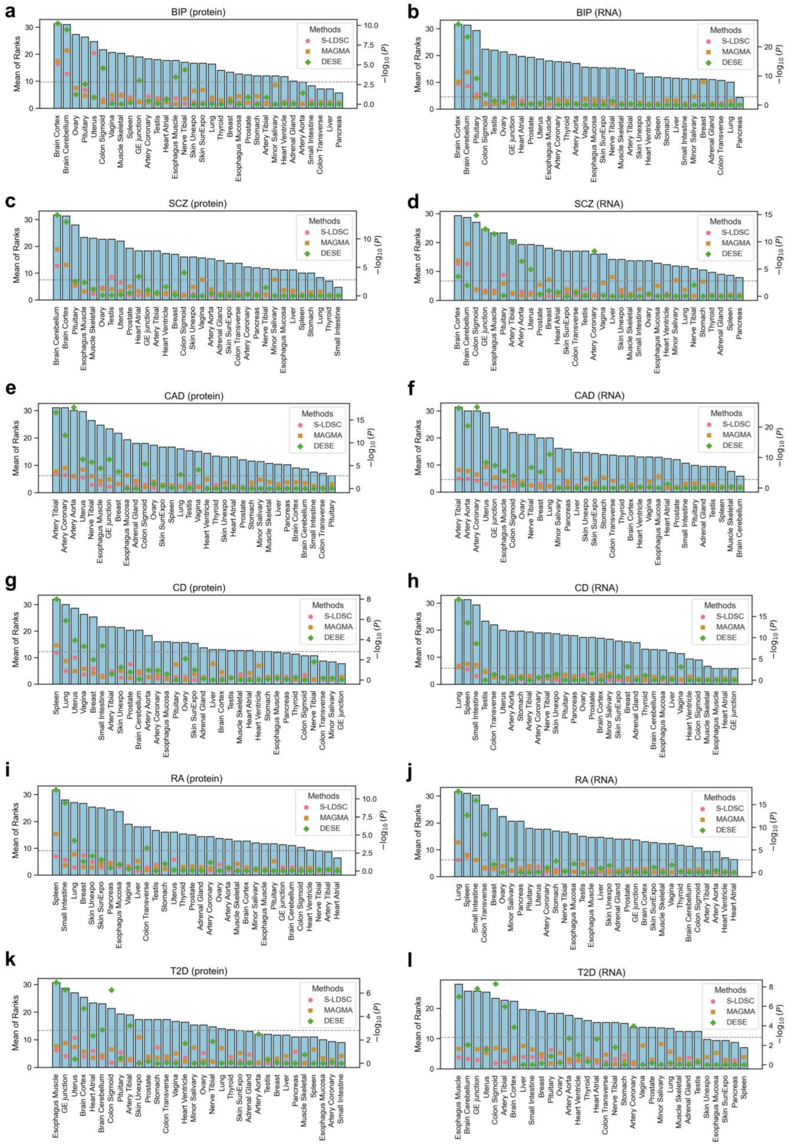 Biology 14 00554 g003