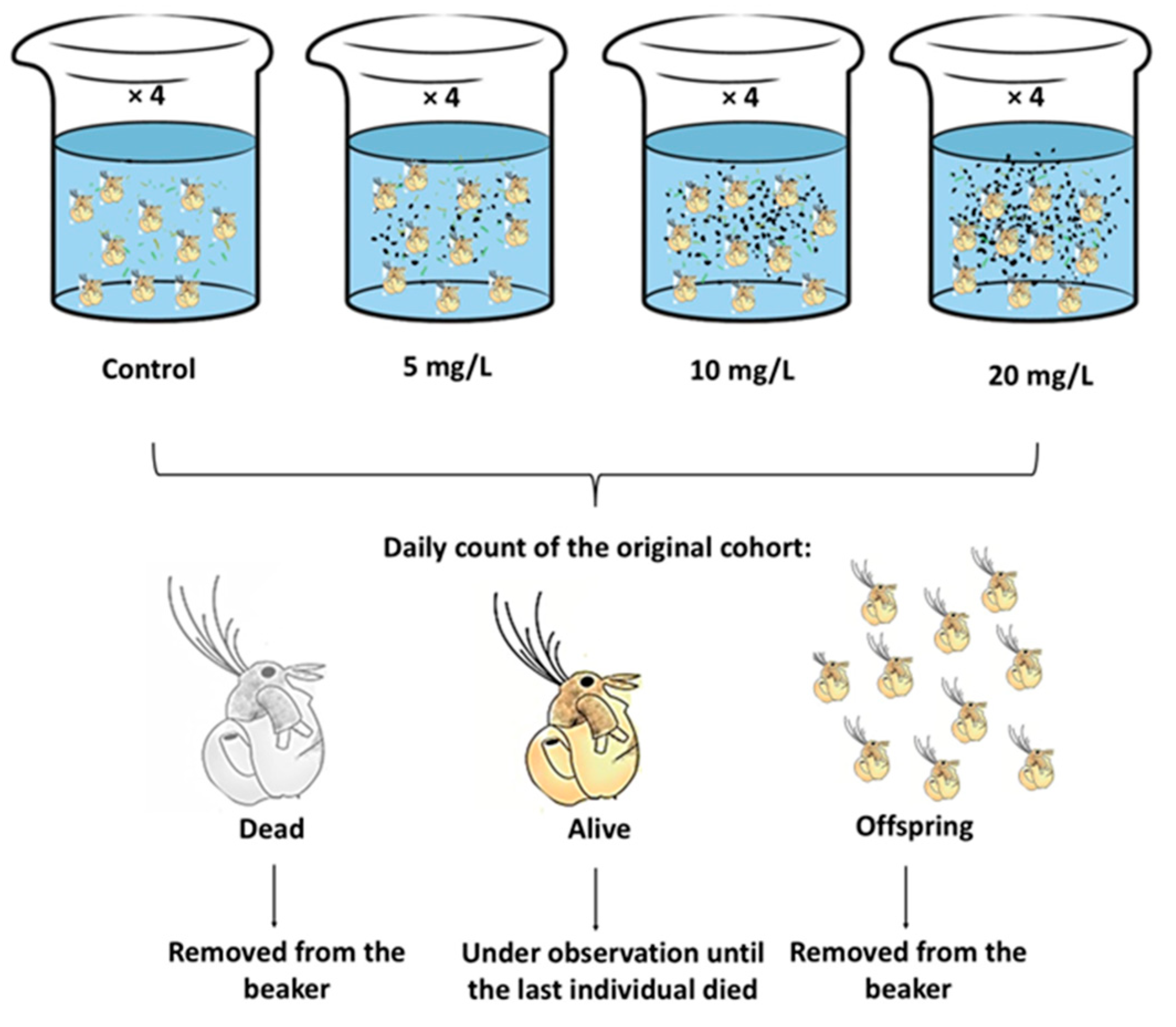 Biology 14 00555 g001