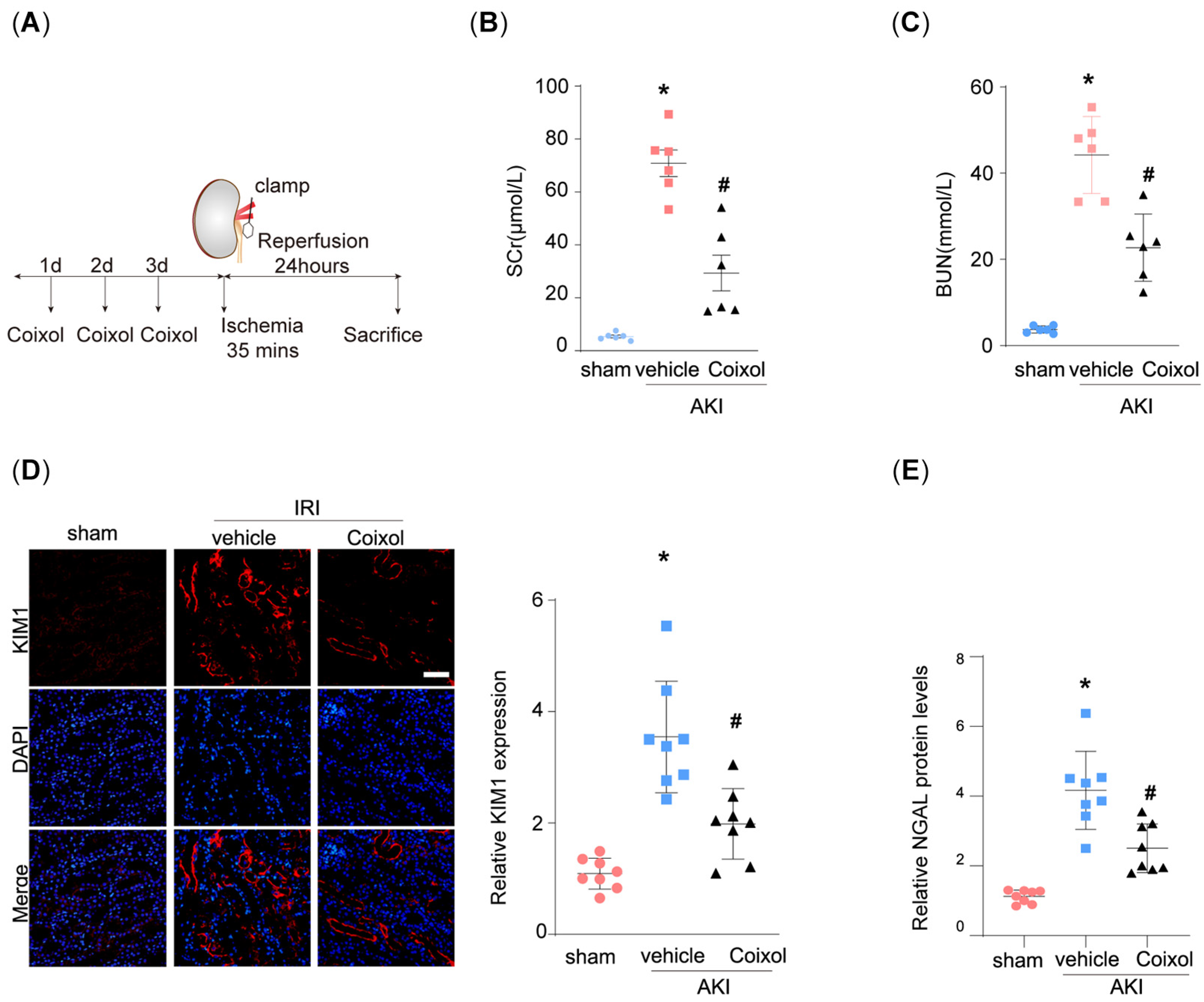 Biology 14 00560 g001