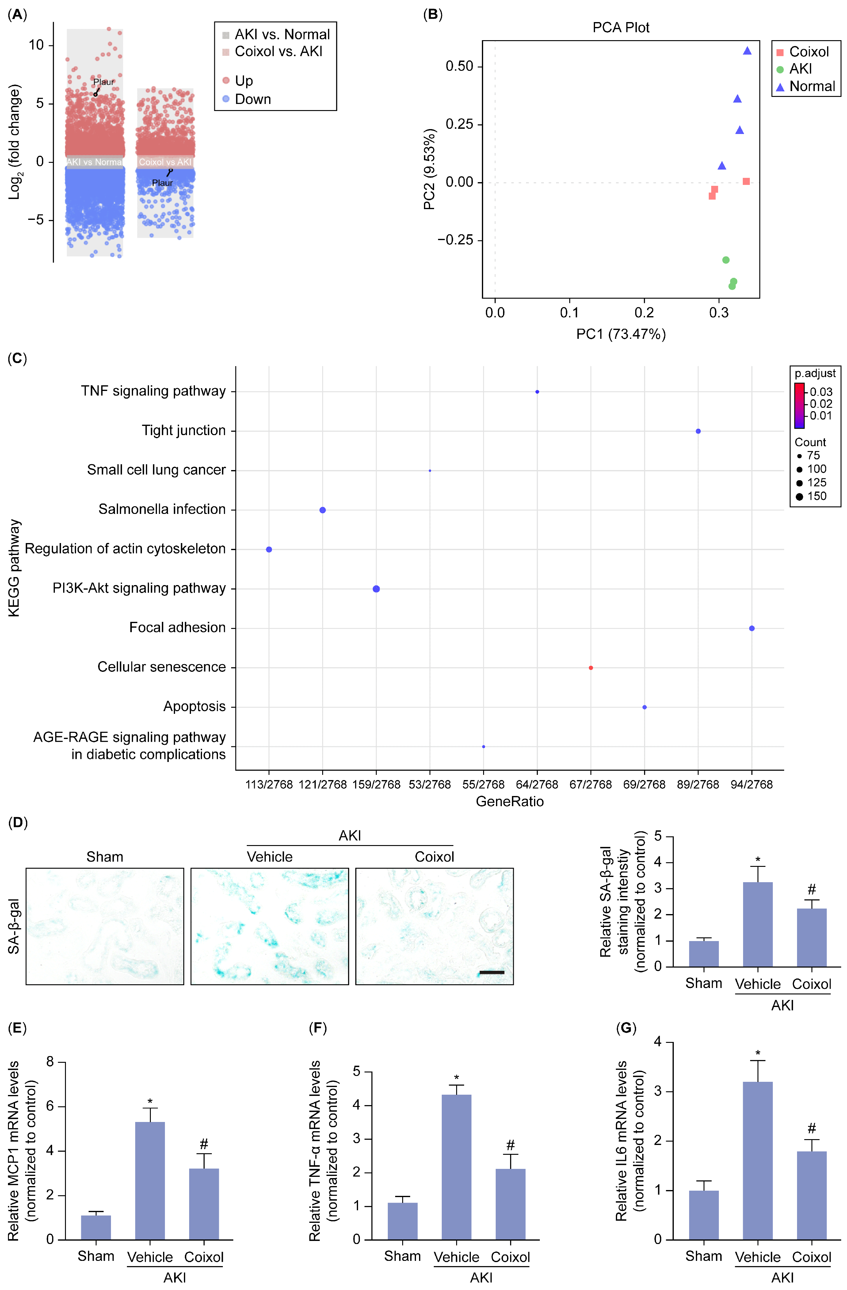 Biology 14 00560 g002