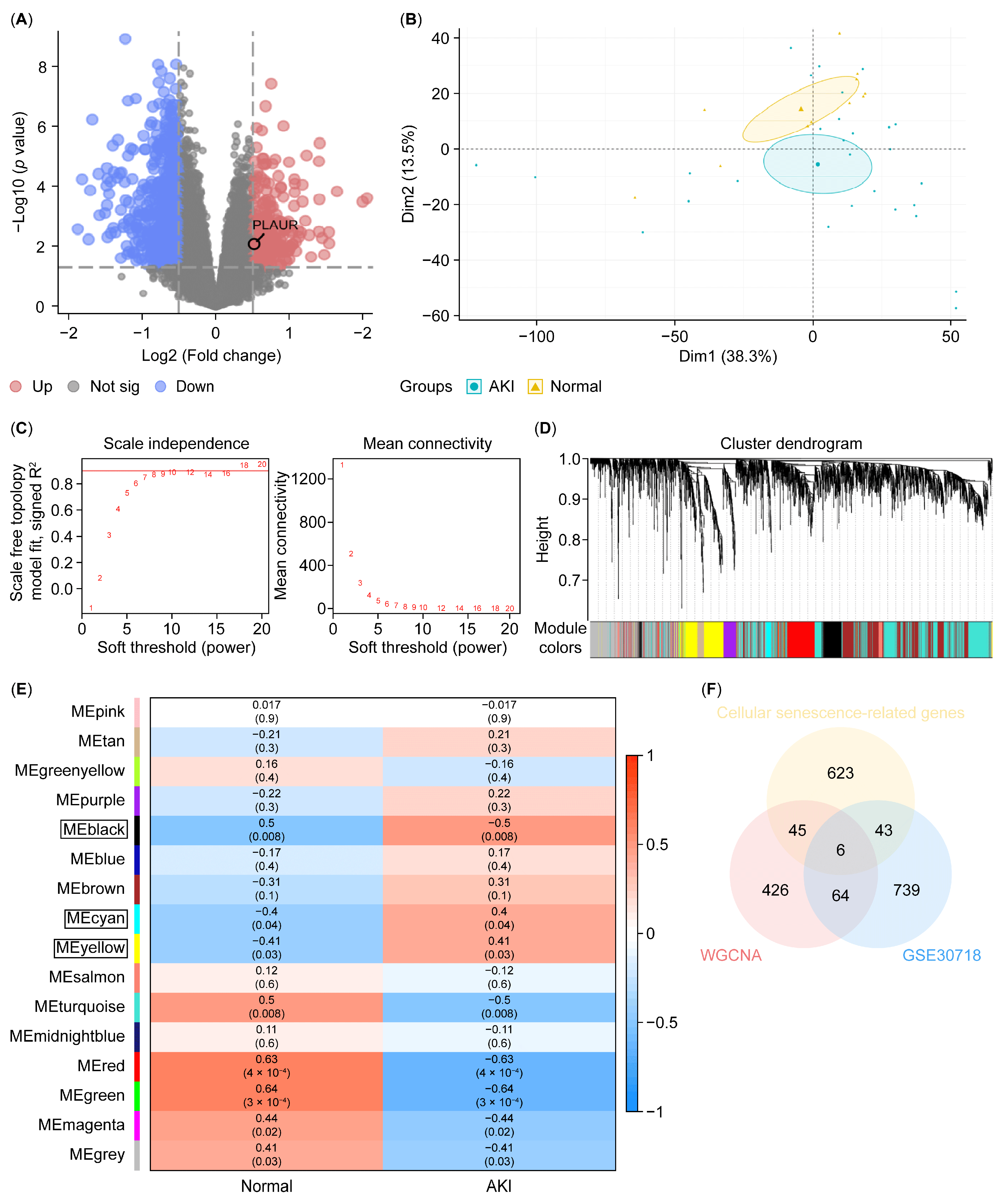 Biology 14 00560 g003