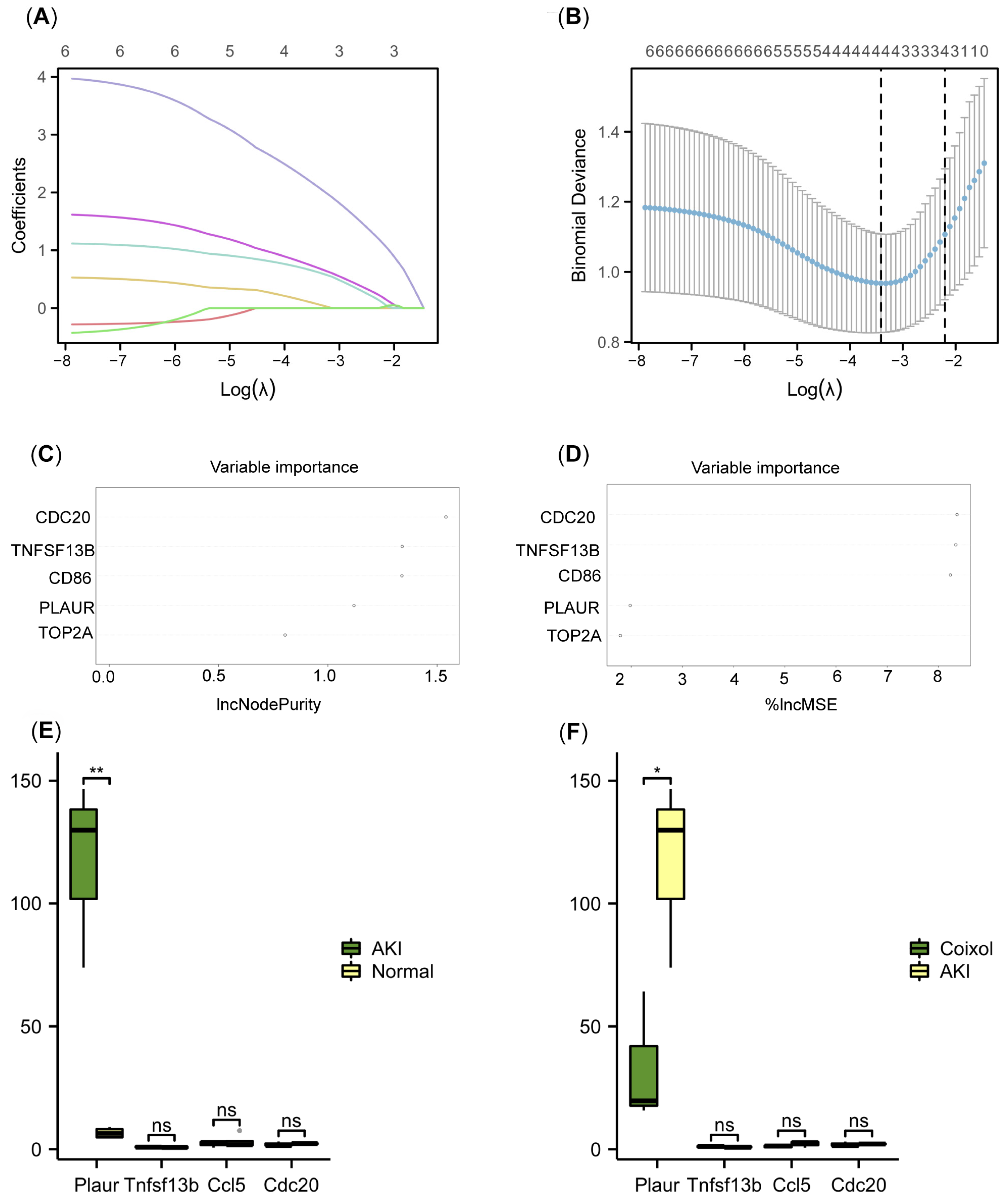 Biology 14 00560 g004