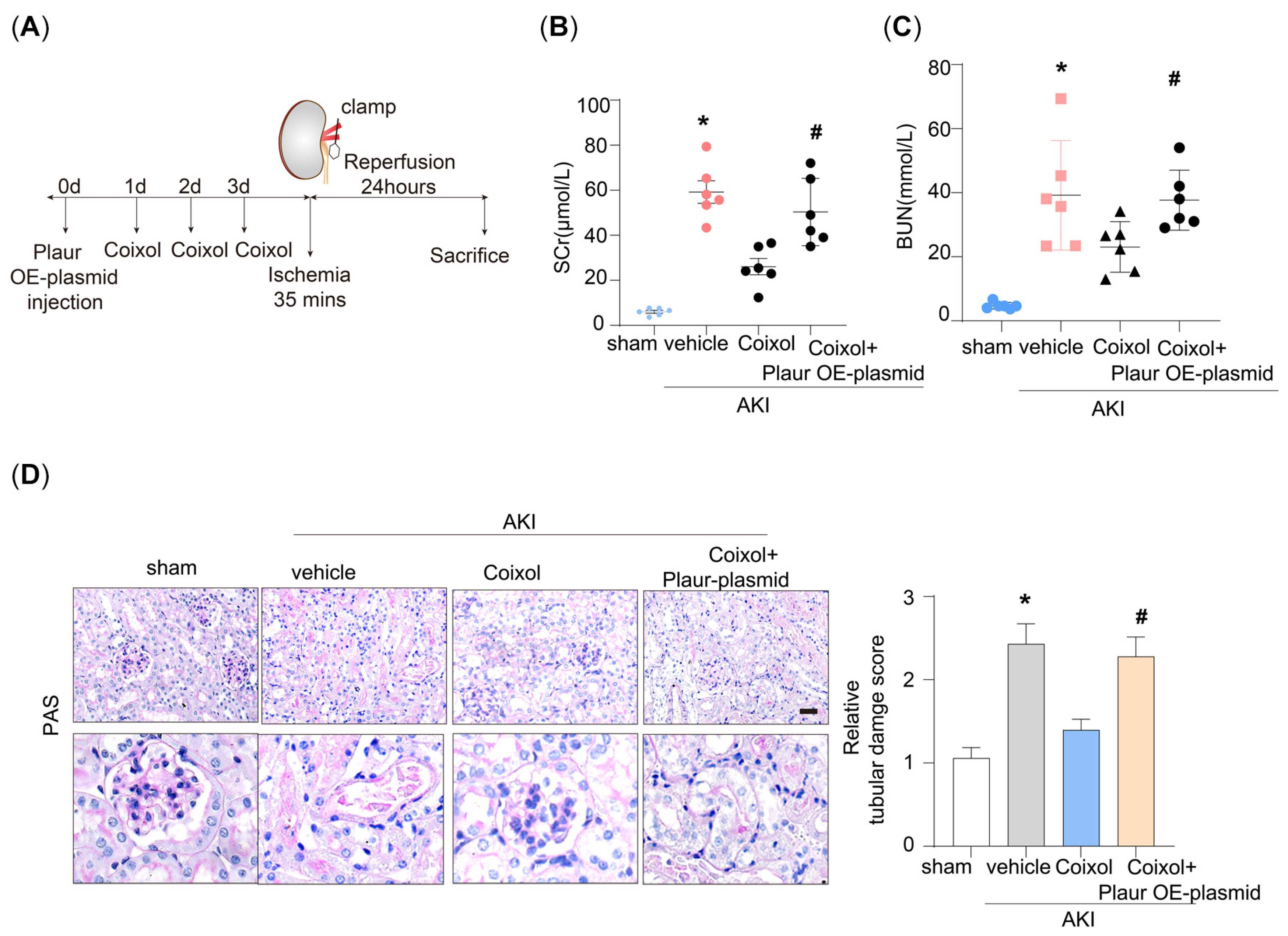Biology 14 00560 g005